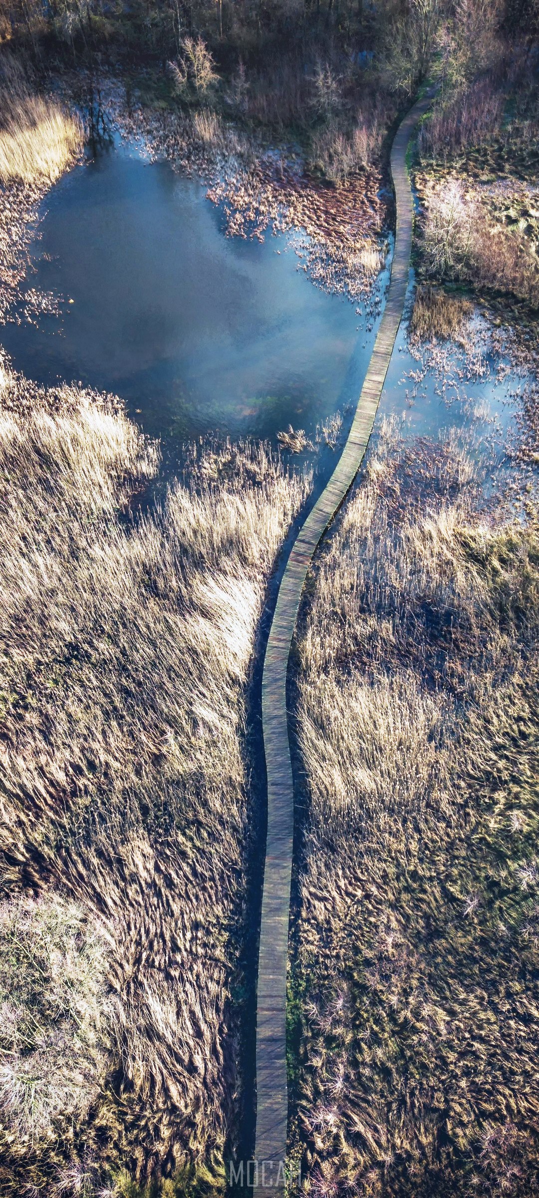 Wooden boardwalk over marshland with pond HD Phone Wallpaper