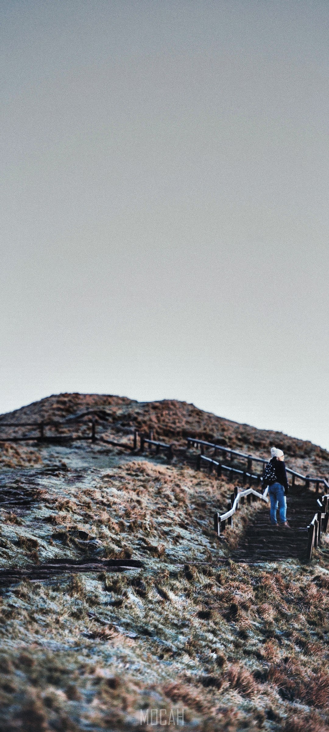 Woman climbing a grassy hill with wooden stairs HD Phone Wallpaper