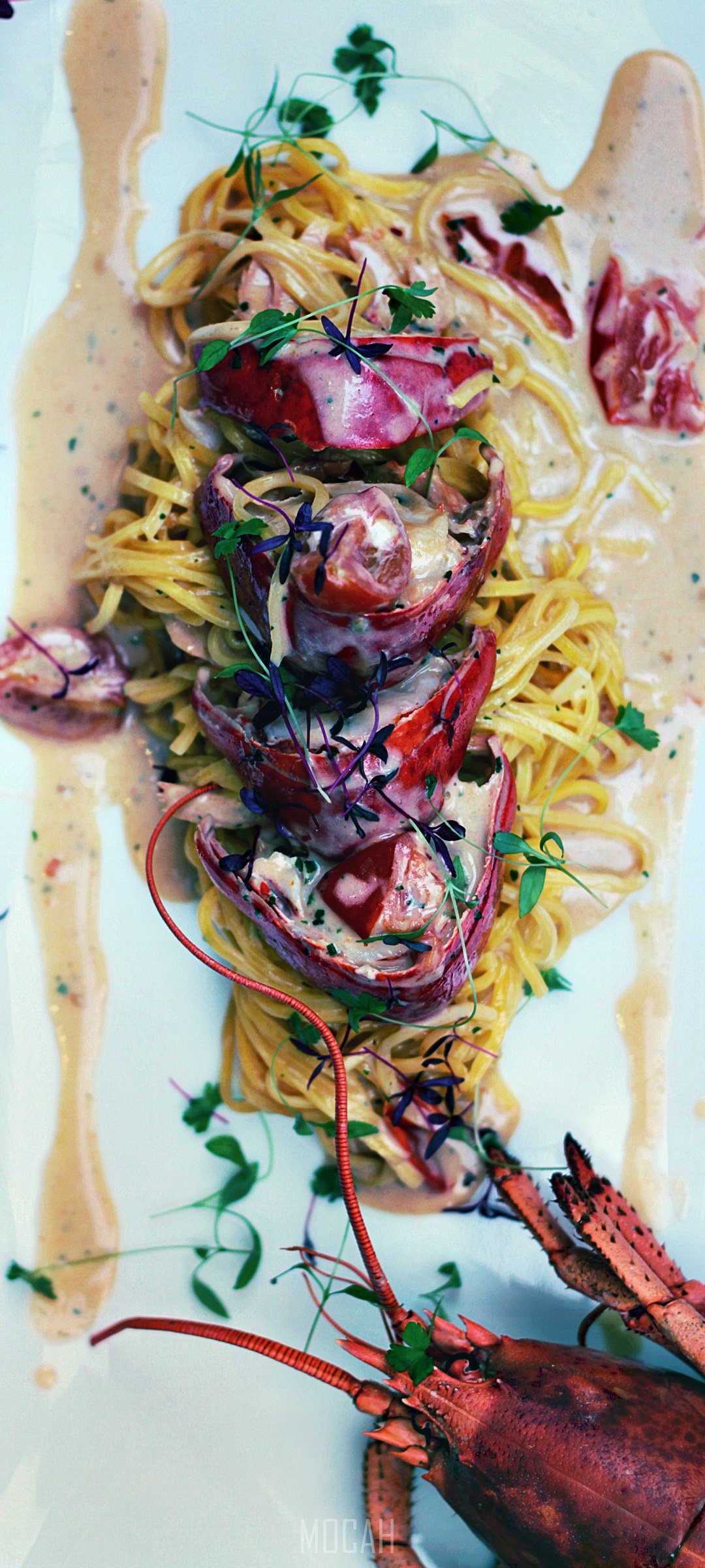 Lobster Spaghetti with Cream Sauce HD Phone Wallpaper