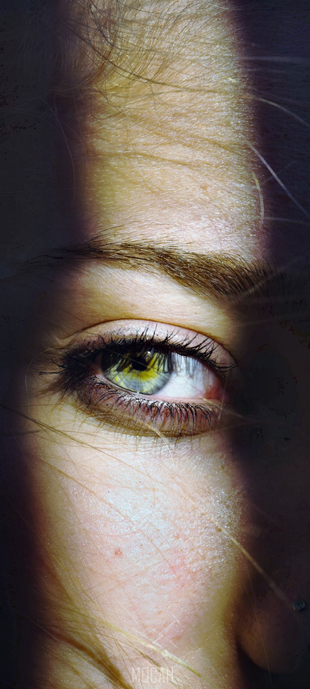 Close-up of a woman's eye with dramatic lighting HD Phone Wallpaper