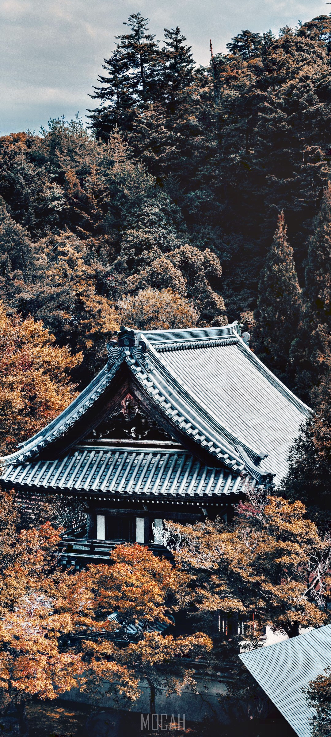 Japanese Temple Roof Amidst Autumn Trees HD Phone Wallpaper