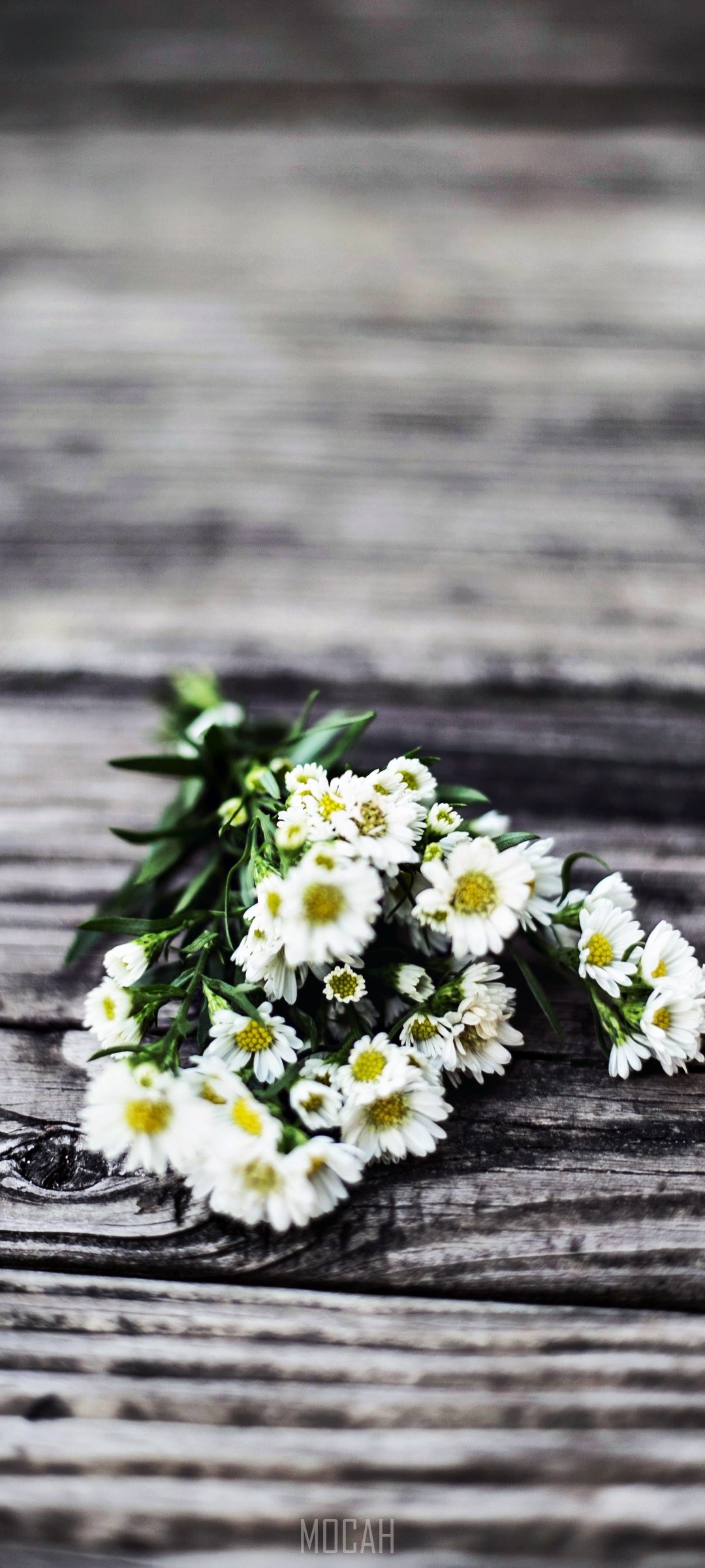 Bouquet of white flowers on a wooden surface HD Phone Wallpaper