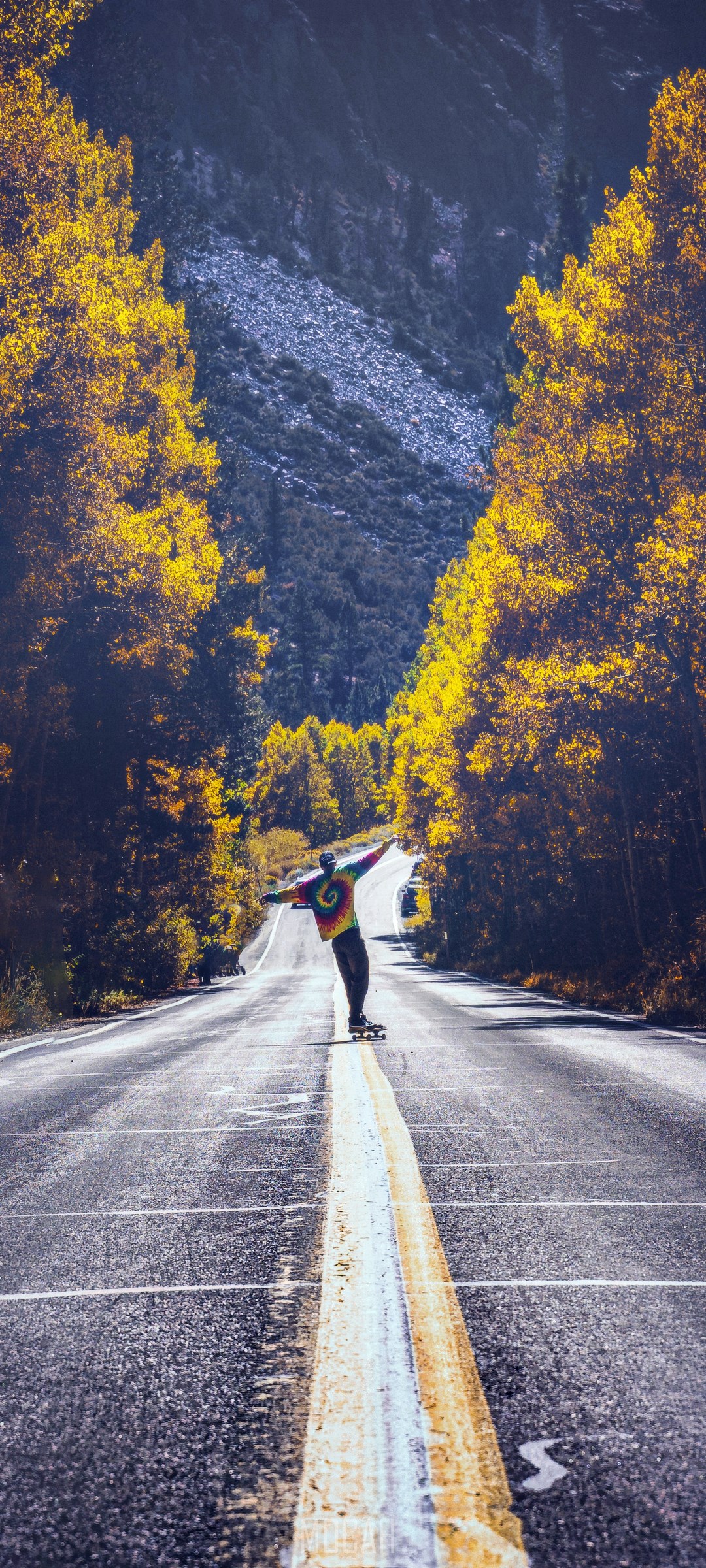 Skateboarder on a road lined with yellow trees HD Phone Wallpaper