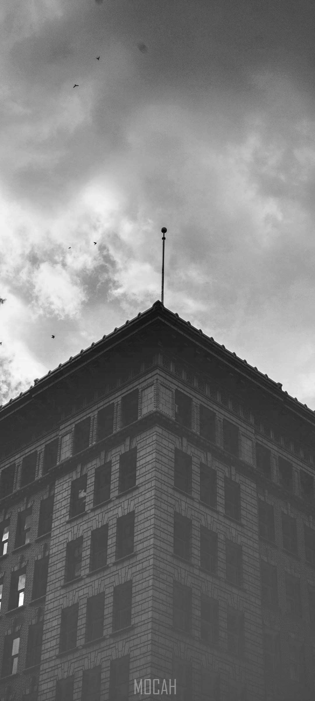 Building corner with spire and birds HD Phone Wallpaper