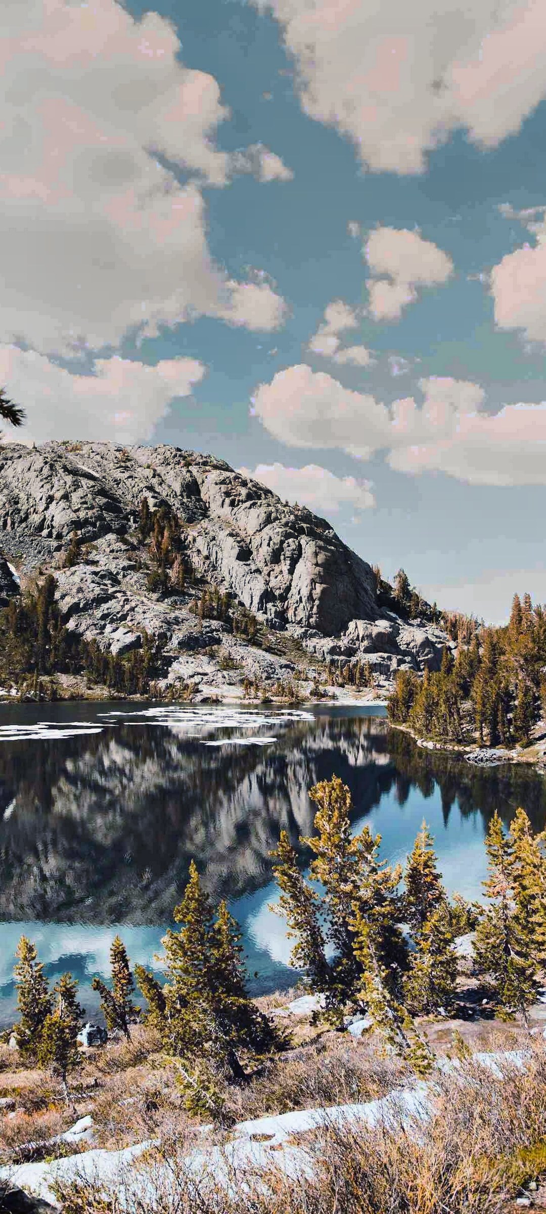 Lake reflecting rocky mountain and pine trees HD Phone Wallpaper