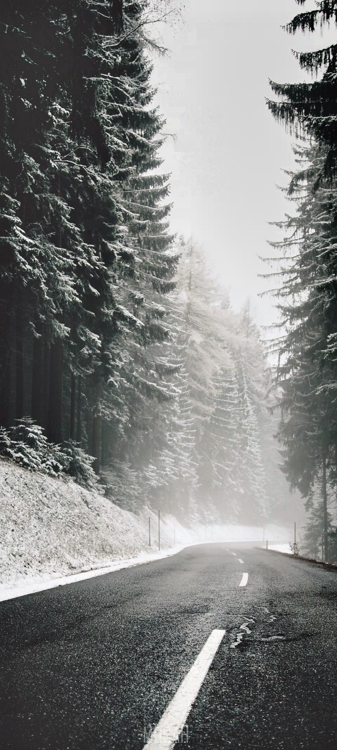 Road through a snowy evergreen forest HD Phone Wallpaper