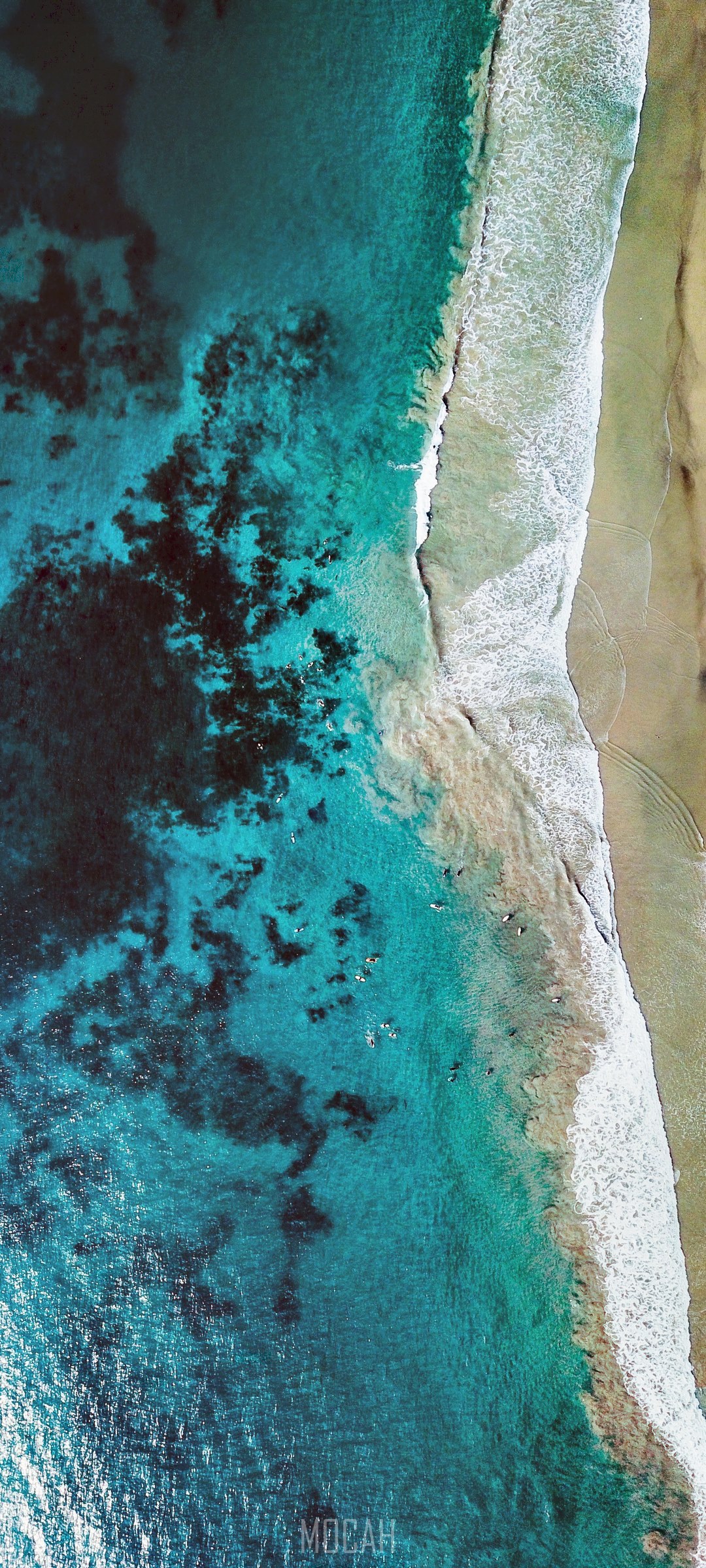Aerial view of surfers in turquoise ocean water near a sandy beach HD Phone Wallpaper