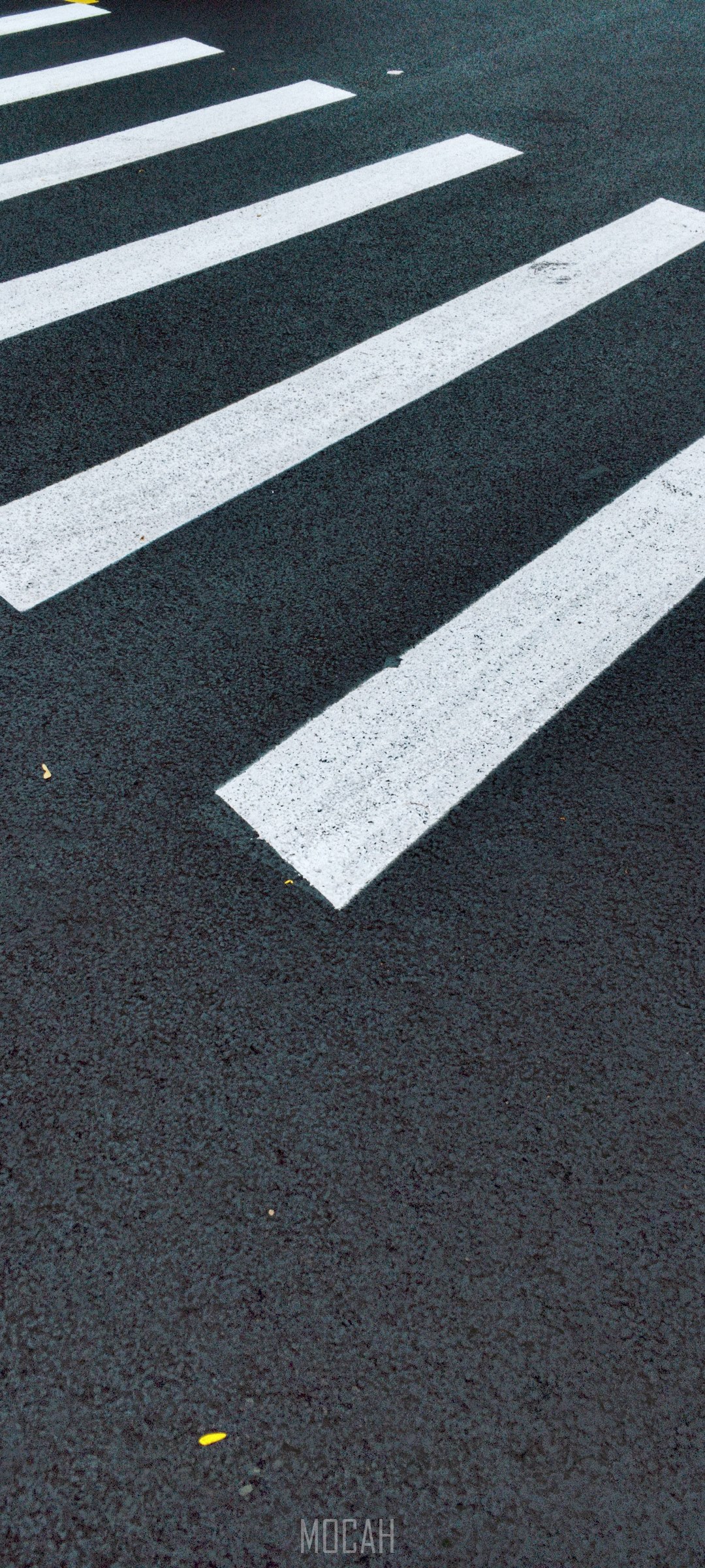 White crosswalk stripes on asphalt road HD Phone Wallpaper
