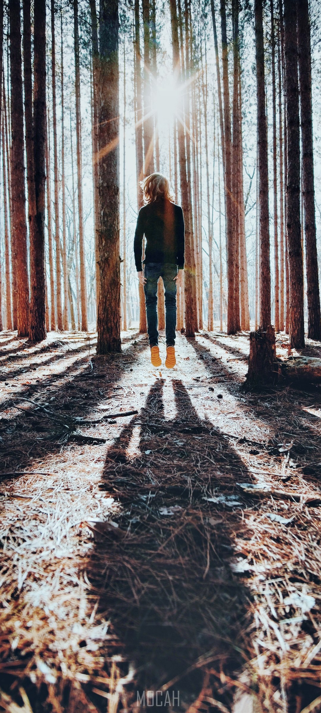 Person jumping in a sunlit forest HD Phone Wallpaper