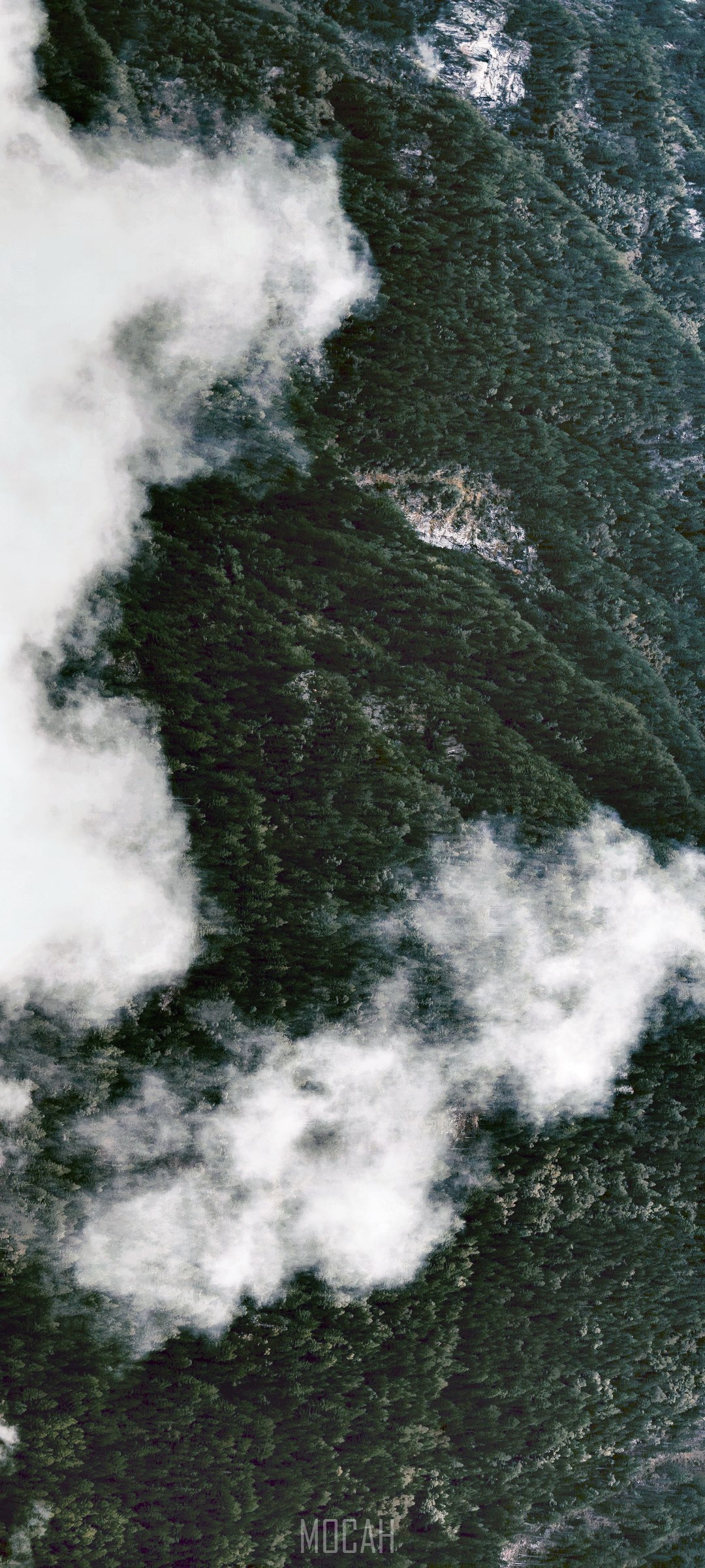 MOCAH logo on a cloudy mountain forest HD Phone Wallpaper