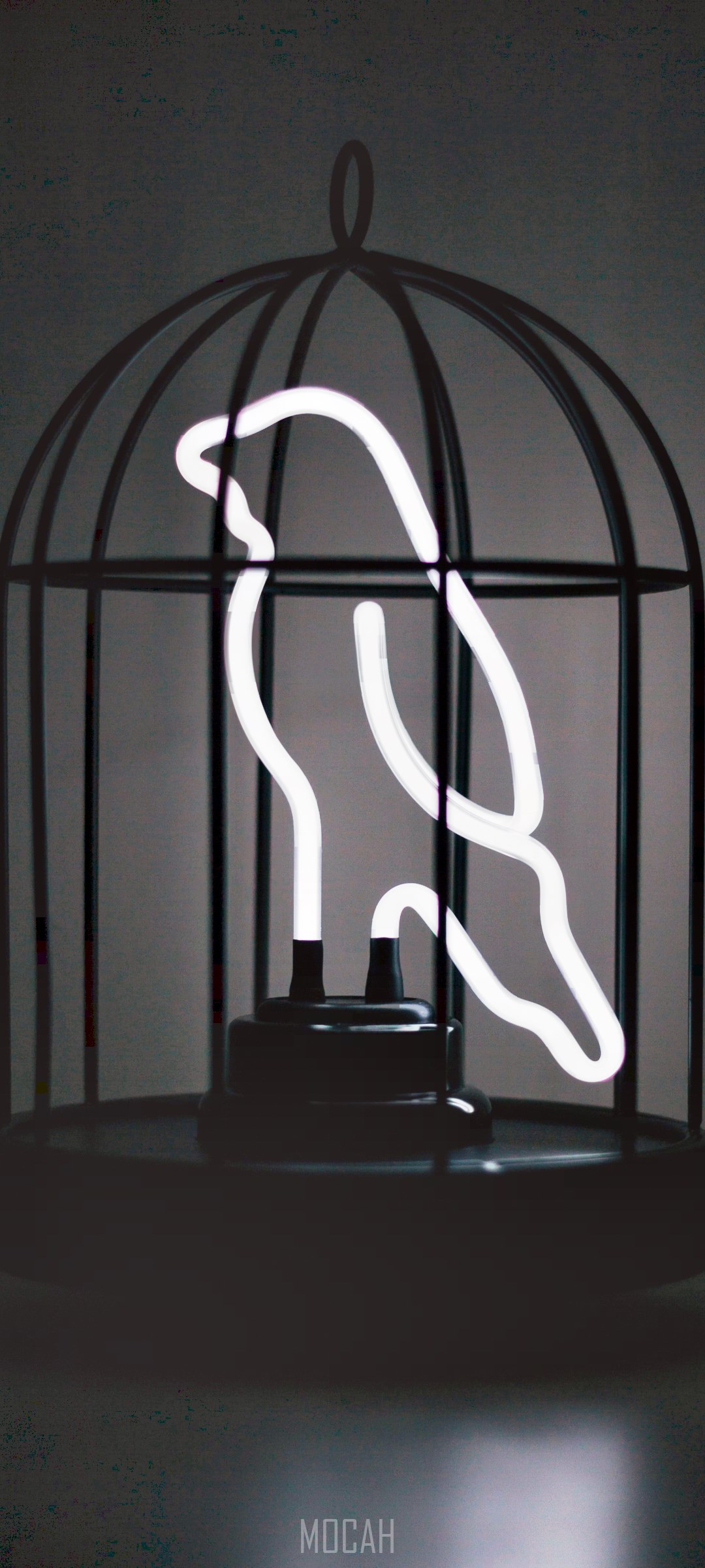 White bird neon light inside a cage lamp HD Phone Wallpaper