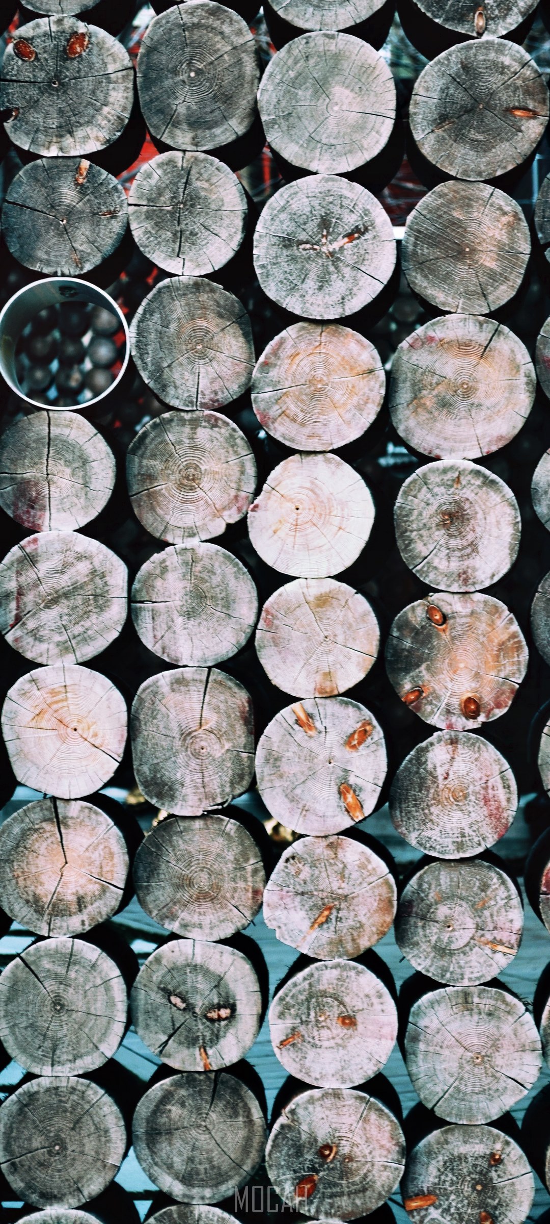Stacked sawn logs HD Phone Wallpaper