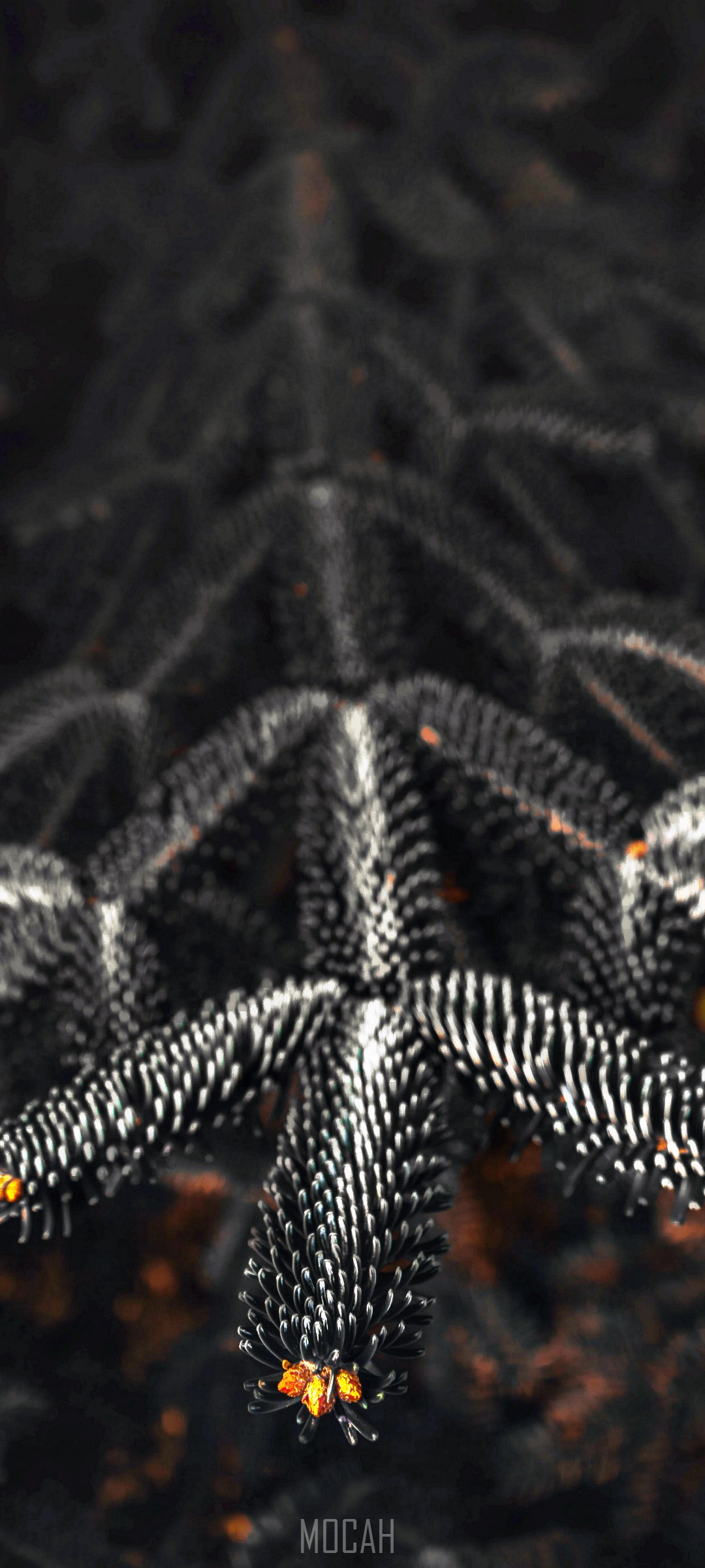 Close-up of a dark pine branch with orange accents HD Phone Wallpaper