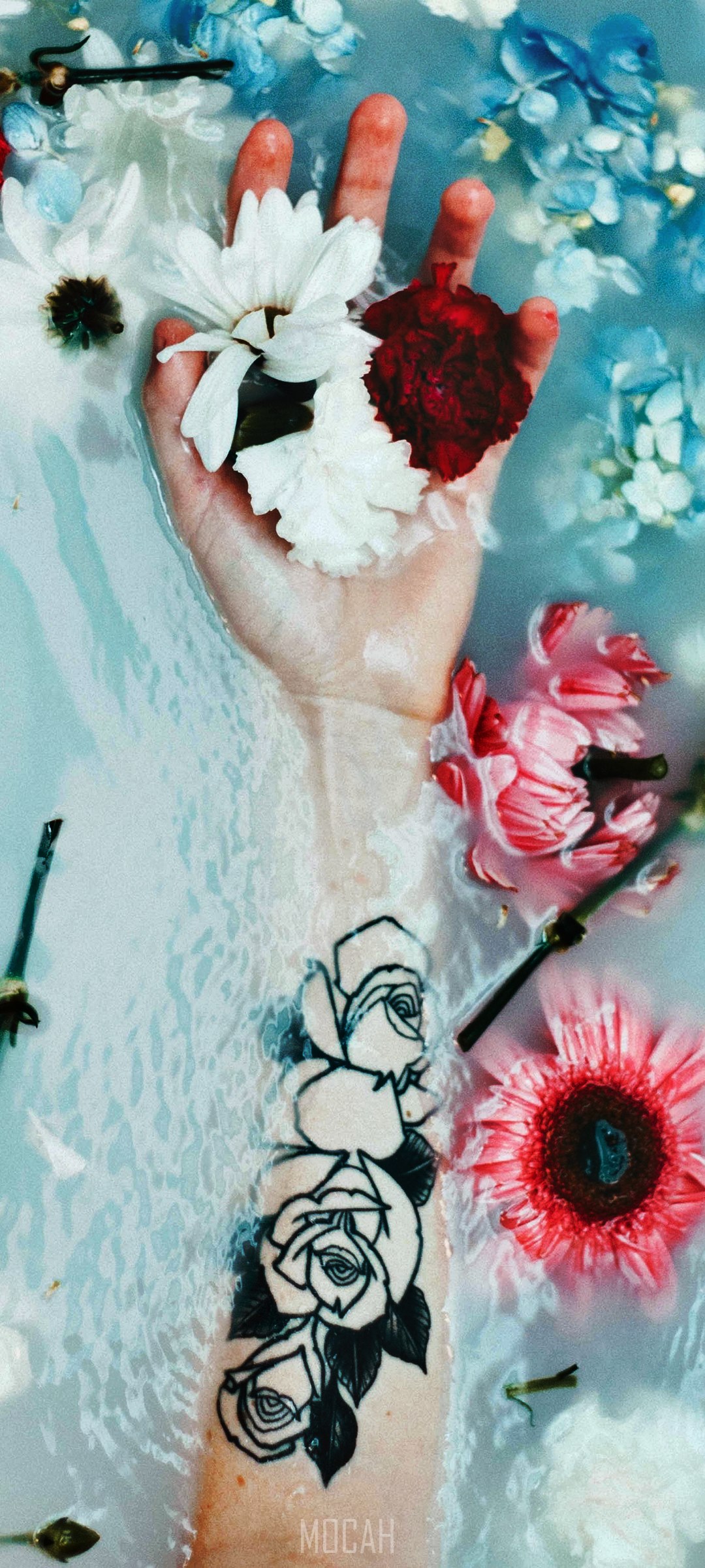Hand with flowers in water with rose tattoo HD Phone Wallpaper