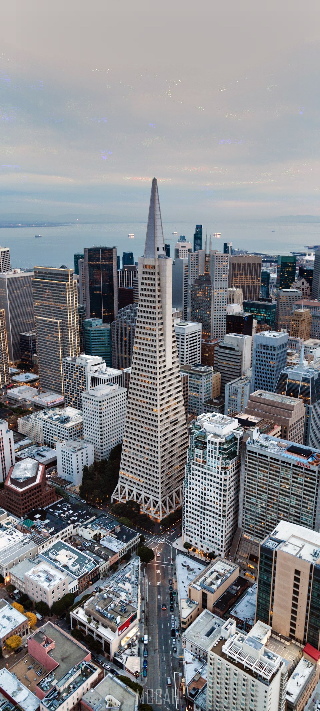 Transamerica Pyramid in San Francisco Downtown HD Phone Wallpaper