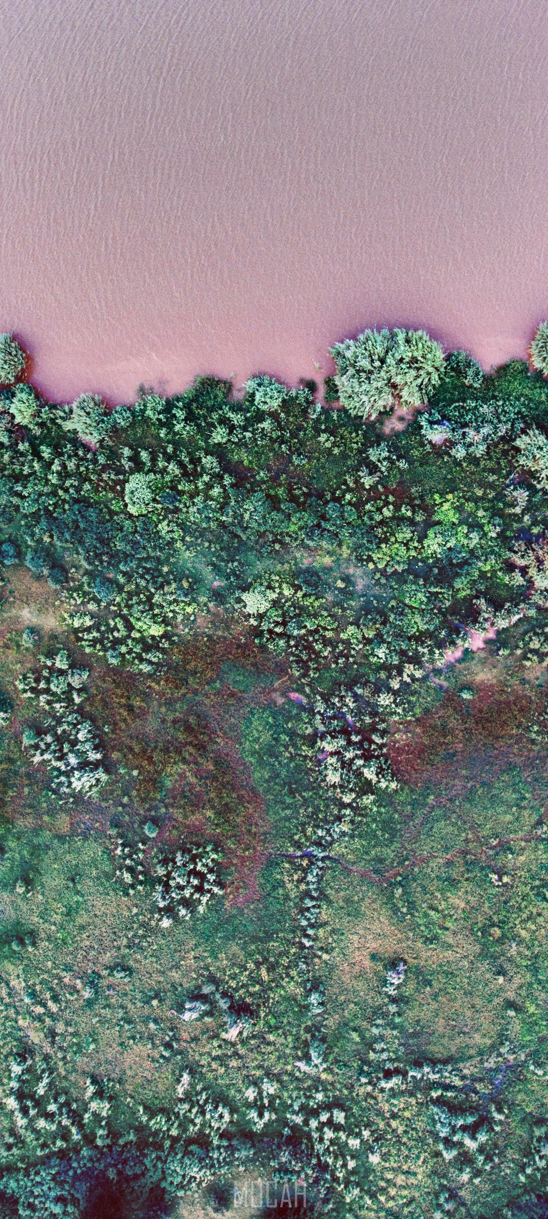 Pink river and green vegetation from above HD Phone Wallpaper