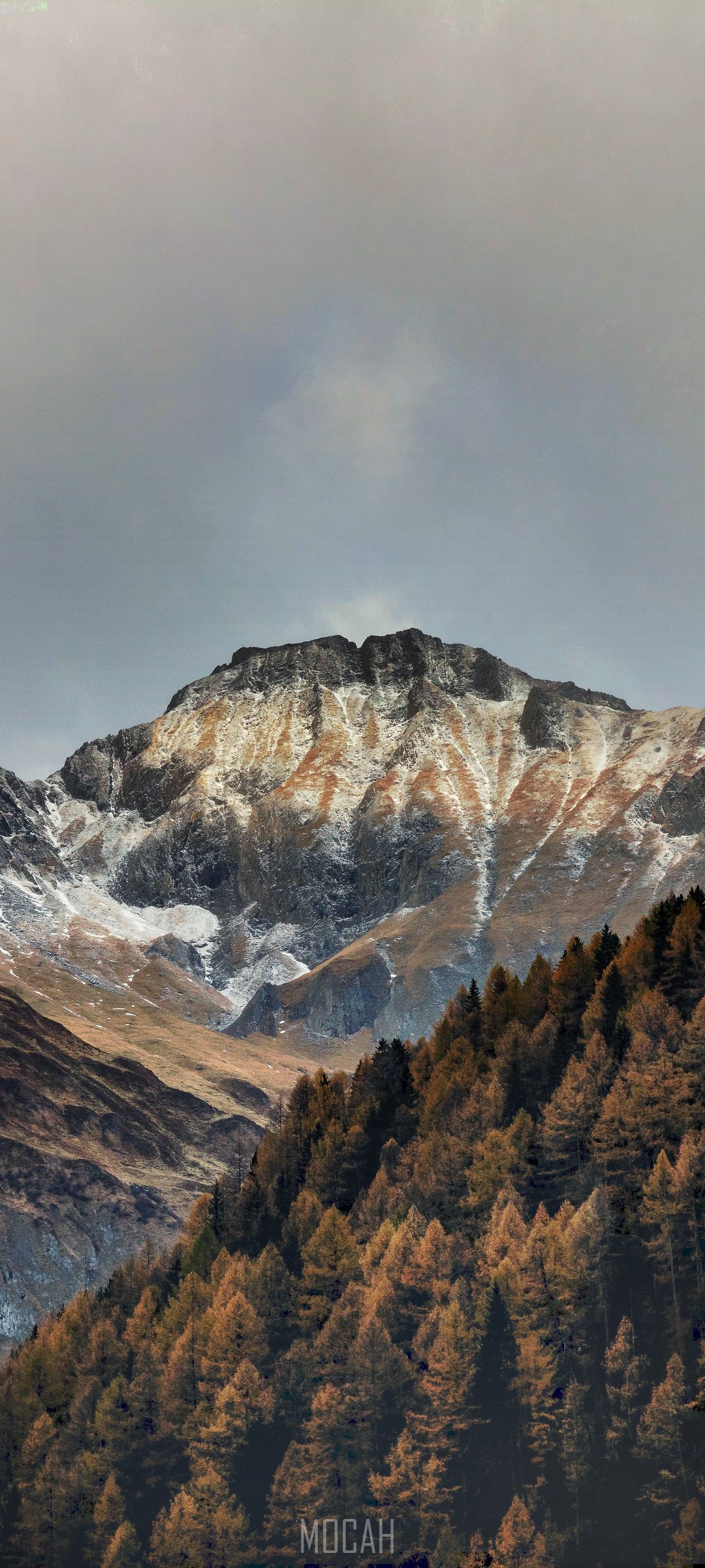 Mountain peak with autumn trees and snow HD Phone Wallpaper