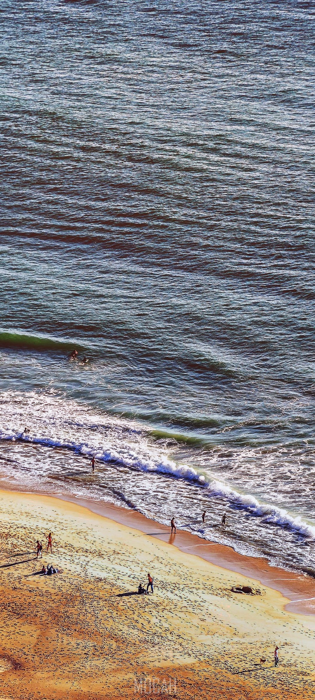 People on a beach near Nazaré, Portugal HD Phone Wallpaper