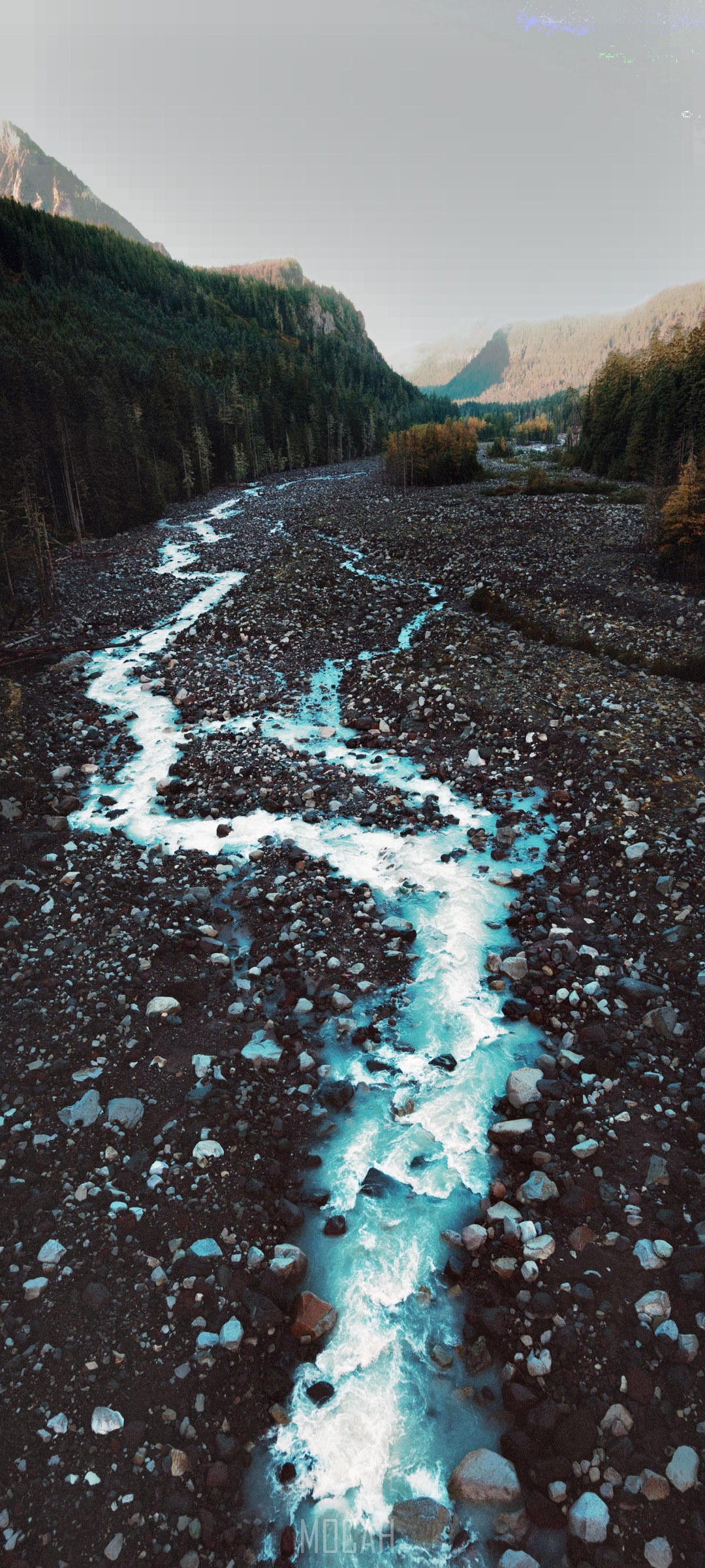 Riverbed in a forest with mountains HD Phone Wallpaper