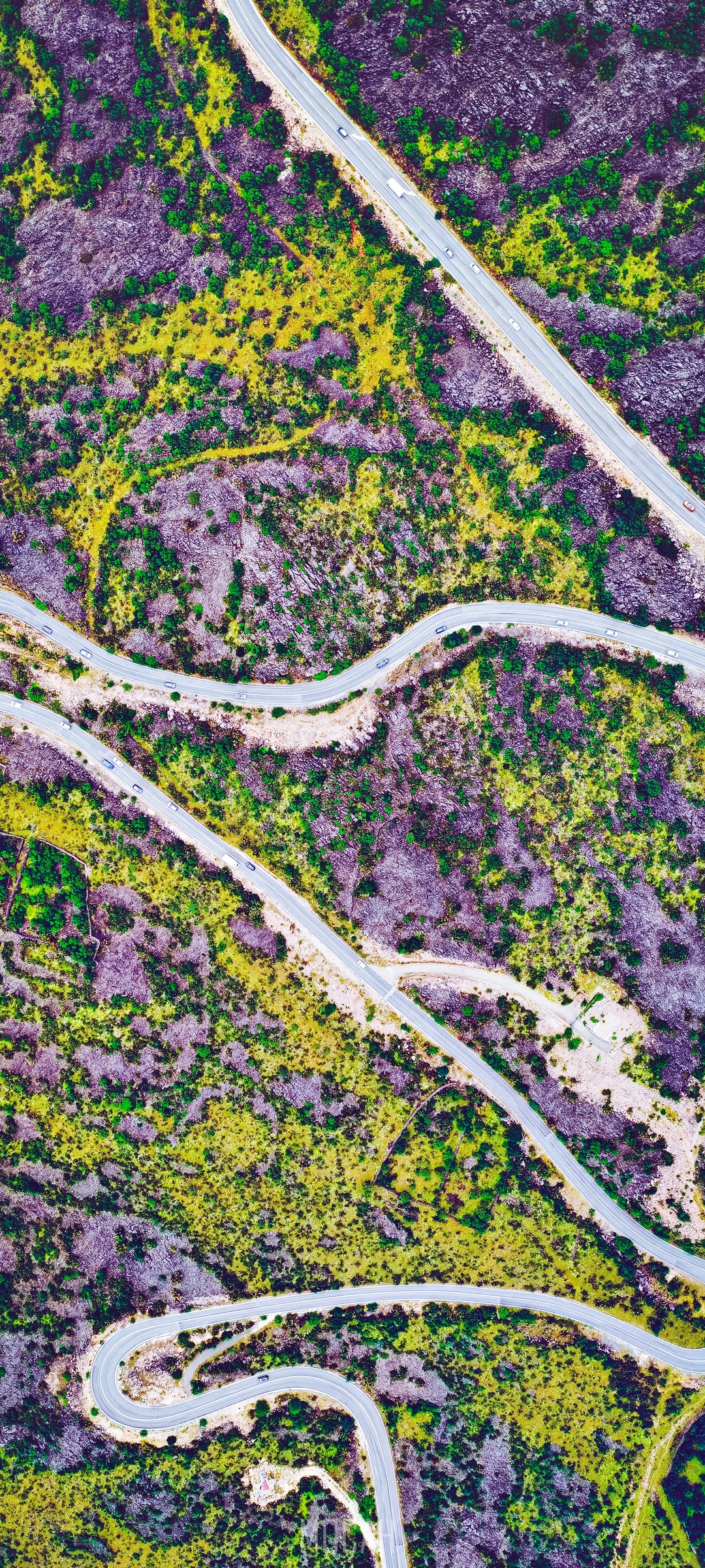Aerial view of a winding road through a colorful landscape HD Phone Wallpaper