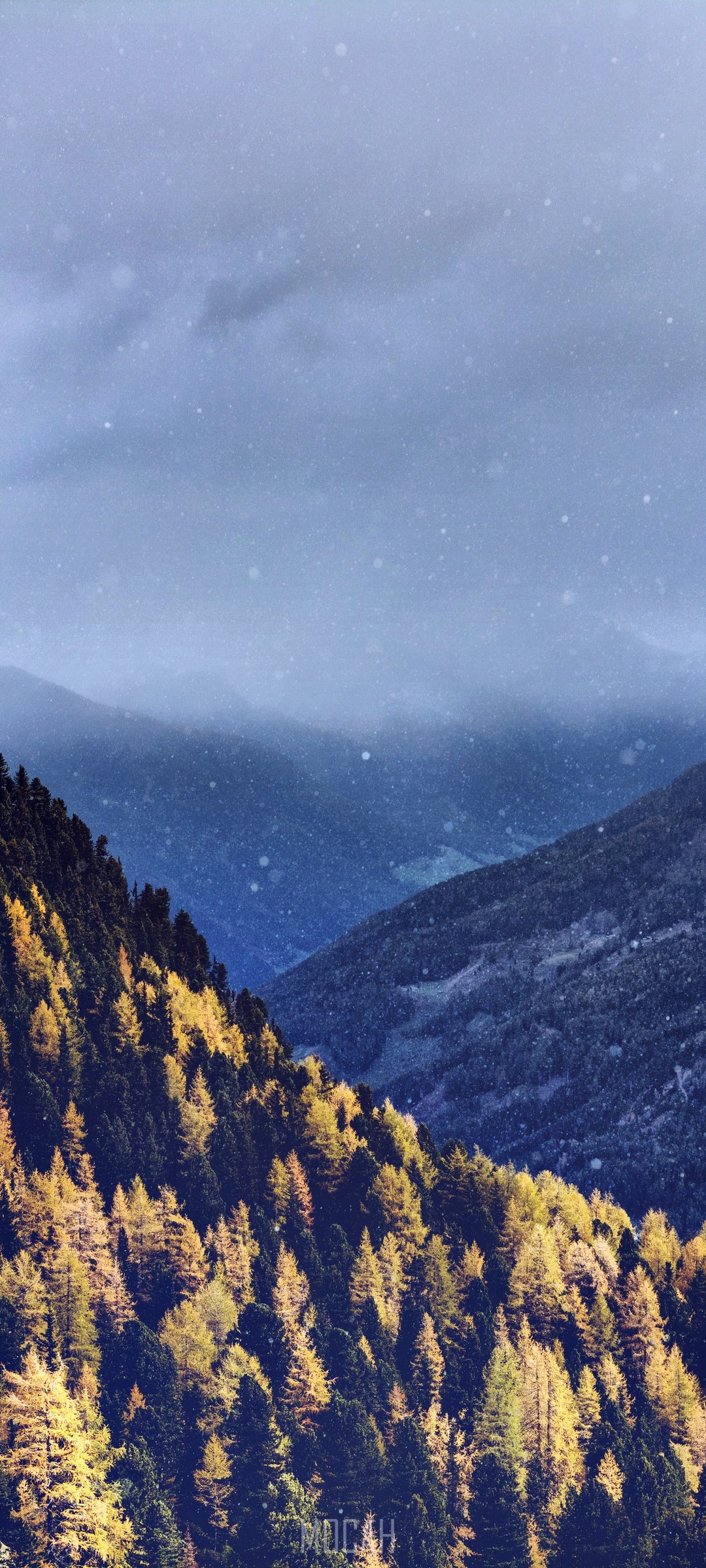 Autumnal snowfall over mountain forest HD Phone Wallpaper