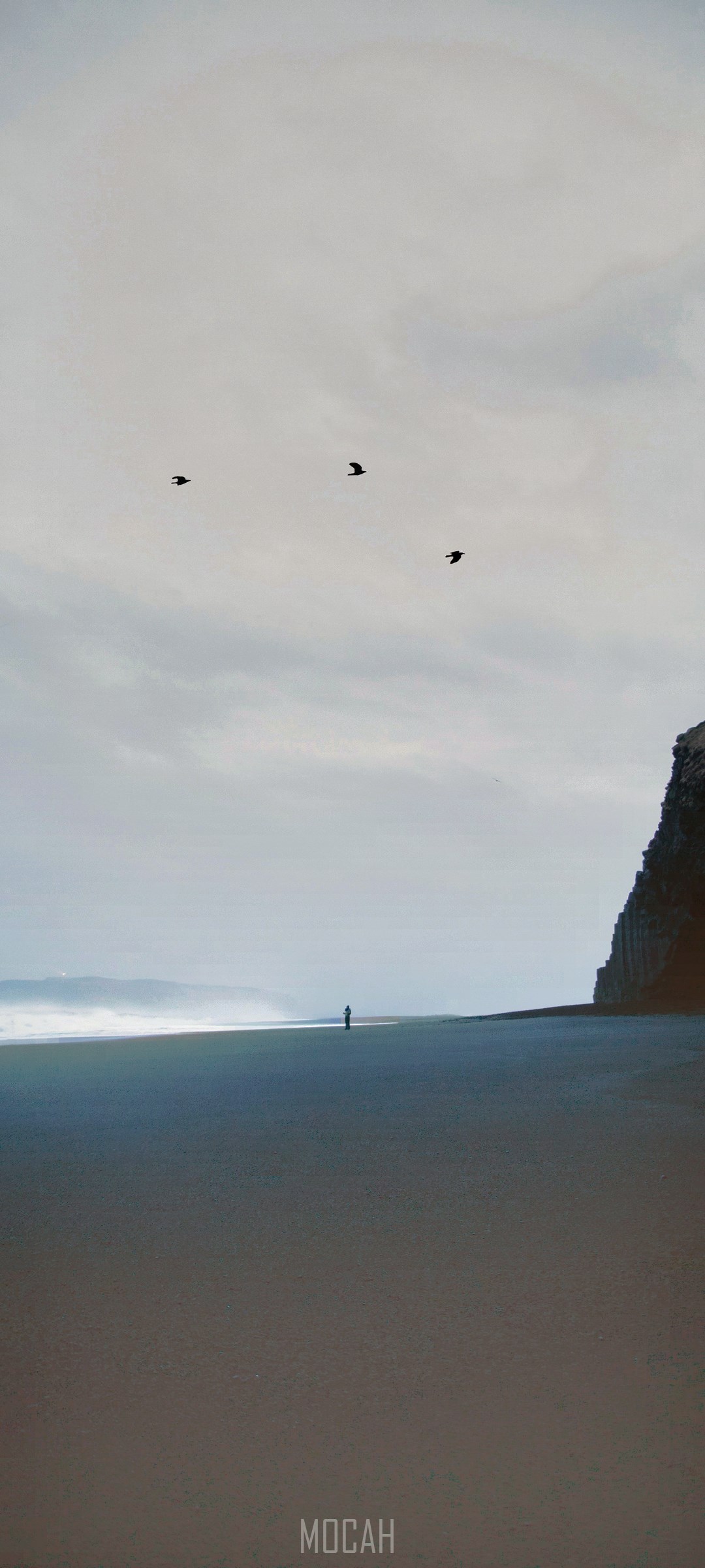 Person on a beach with cliffs and birds HD Phone Wallpaper