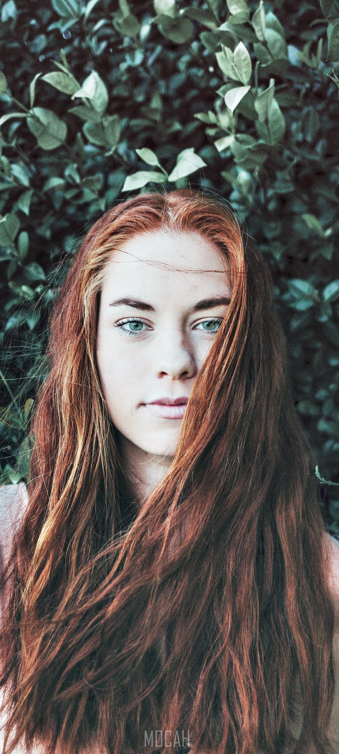 Redhead woman with blue eyes in front of green foliage HD Phone Wallpaper