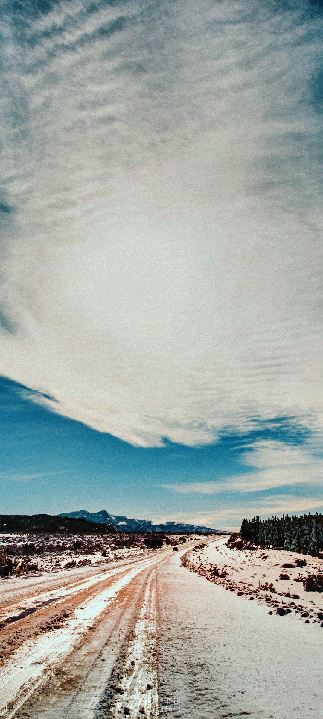 Winter road with mountains and trees HD Phone Wallpaper