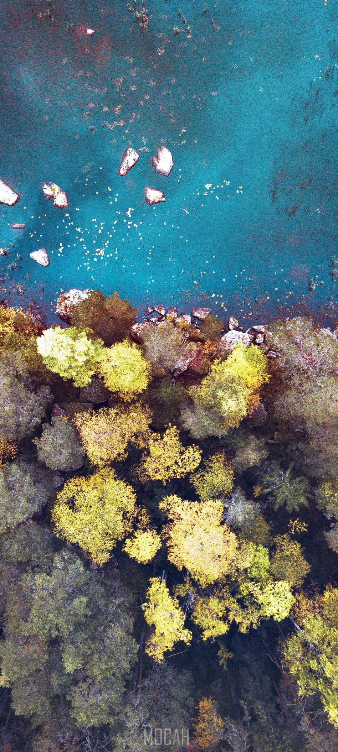 Aerial view of a lake and autumn forest HD Phone Wallpaper