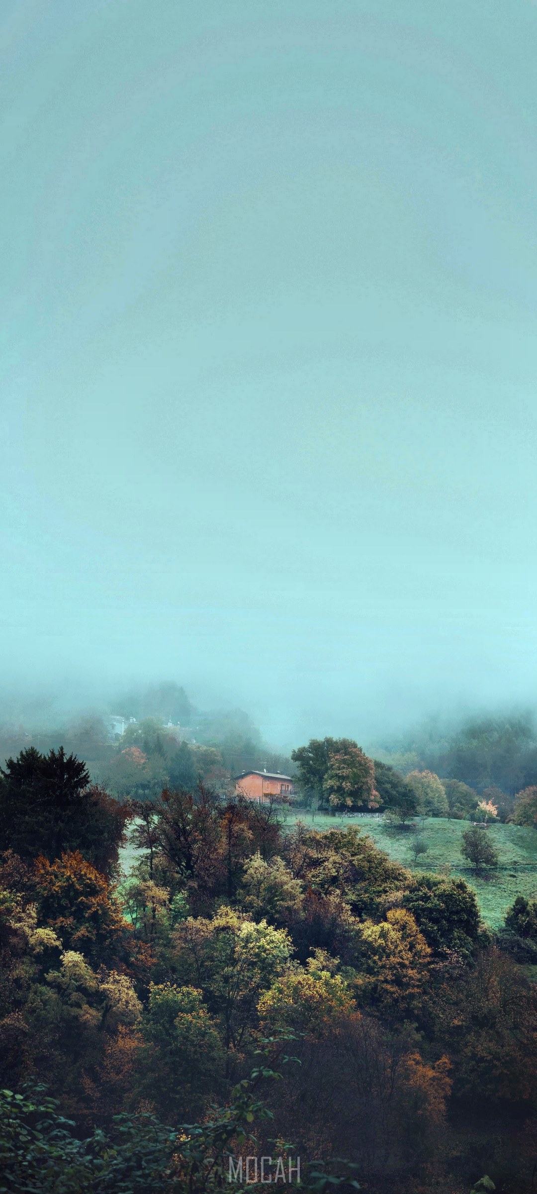 Misty forest landscape with a house HD Phone Wallpaper