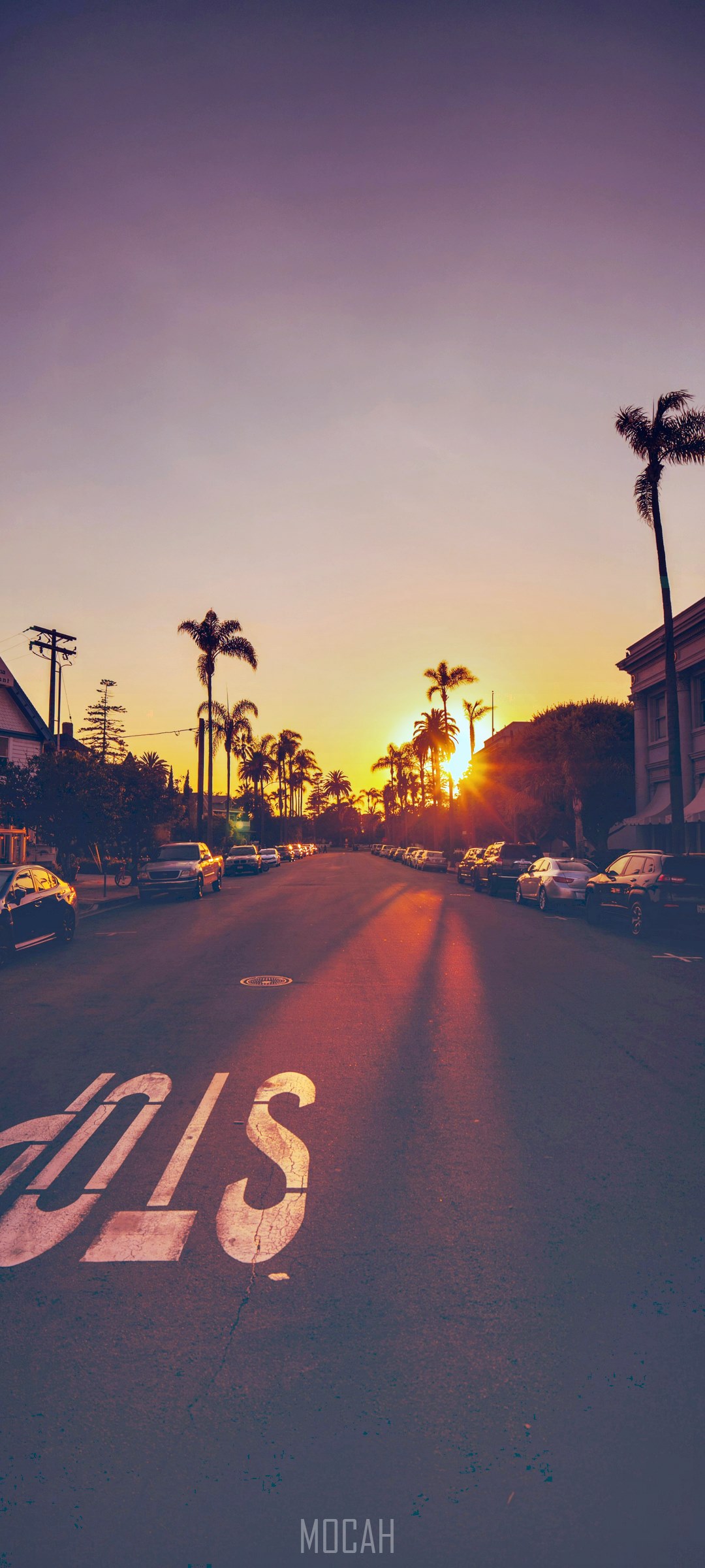 Street at sunset with palm trees and stop sign HD Phone Wallpaper
