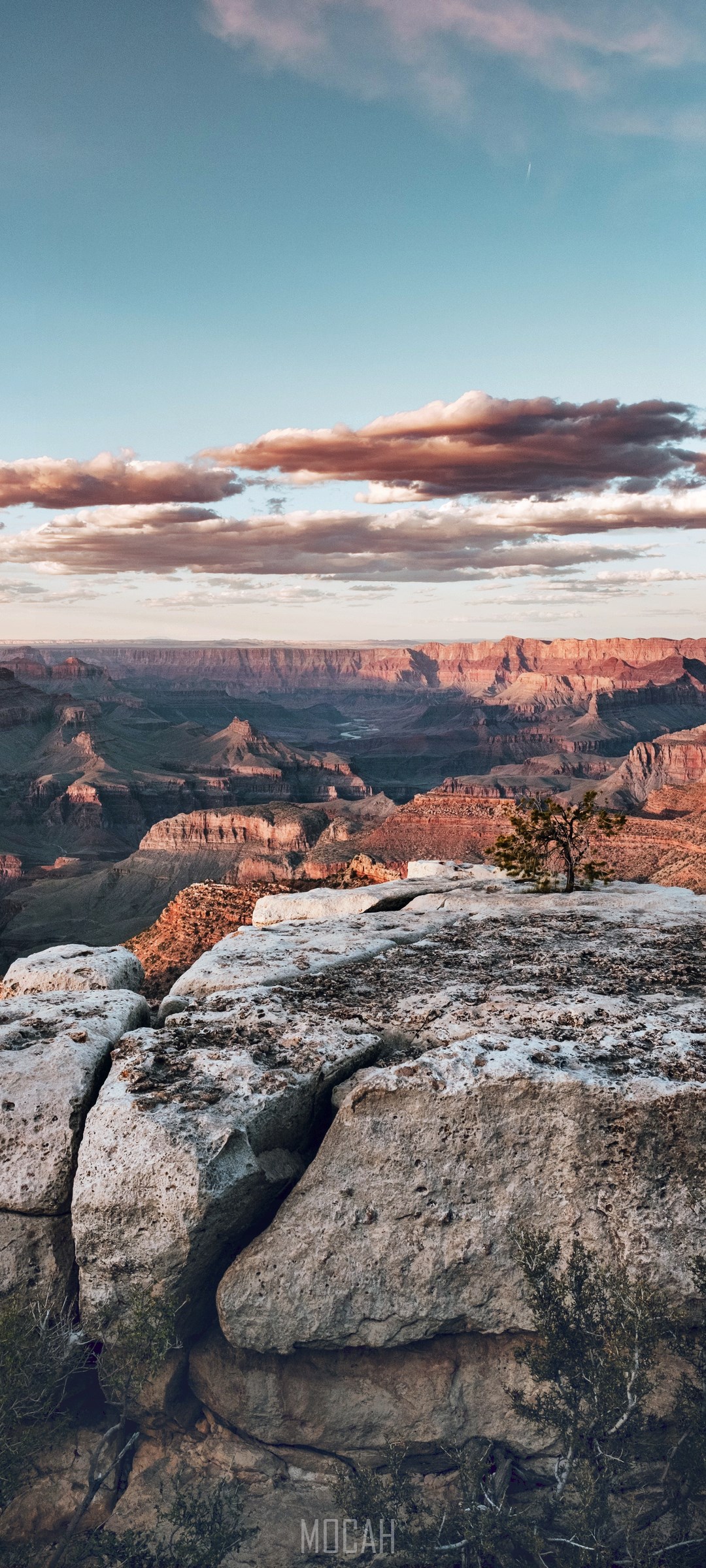 Grand Canyon National Park at Sunset HD Phone Wallpaper