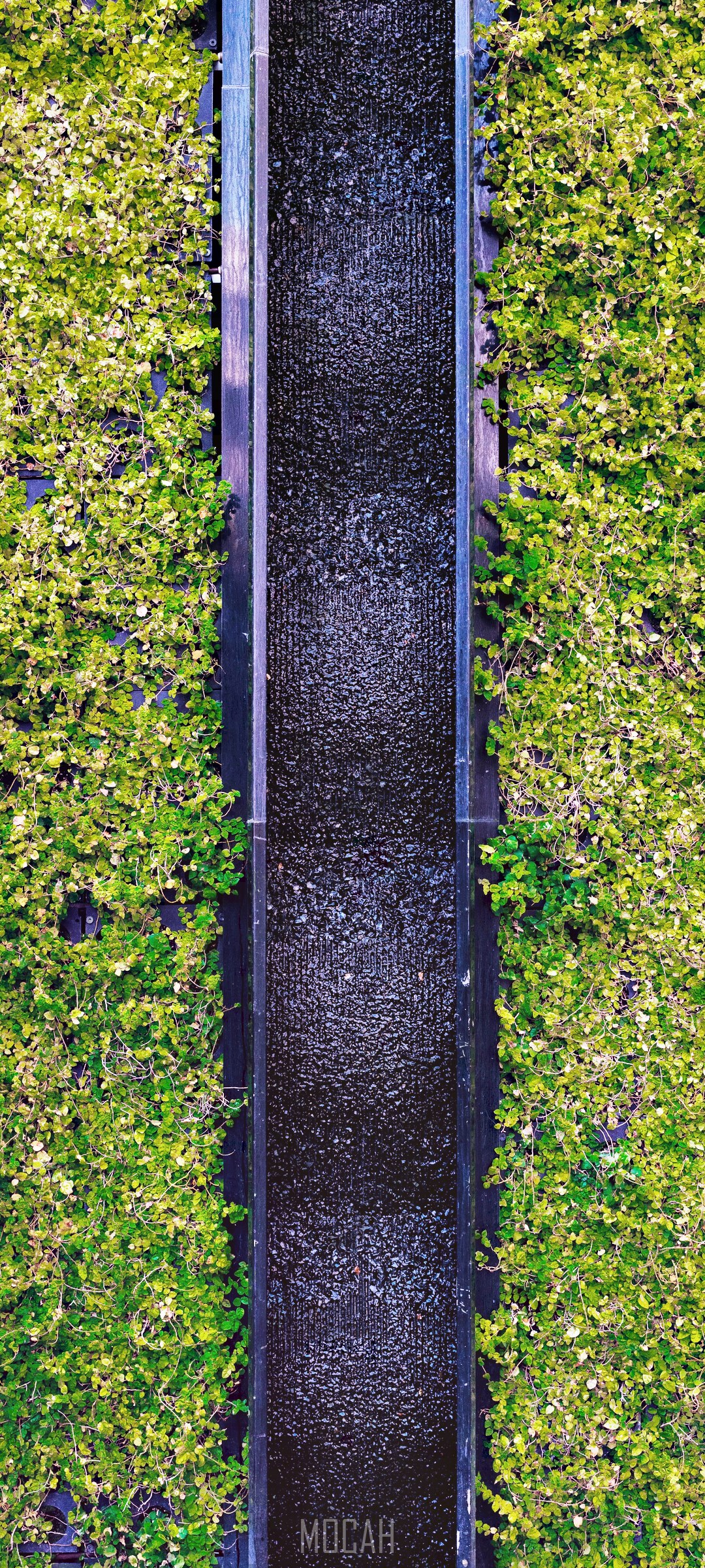 Water feature with green foliage HD Phone Wallpaper