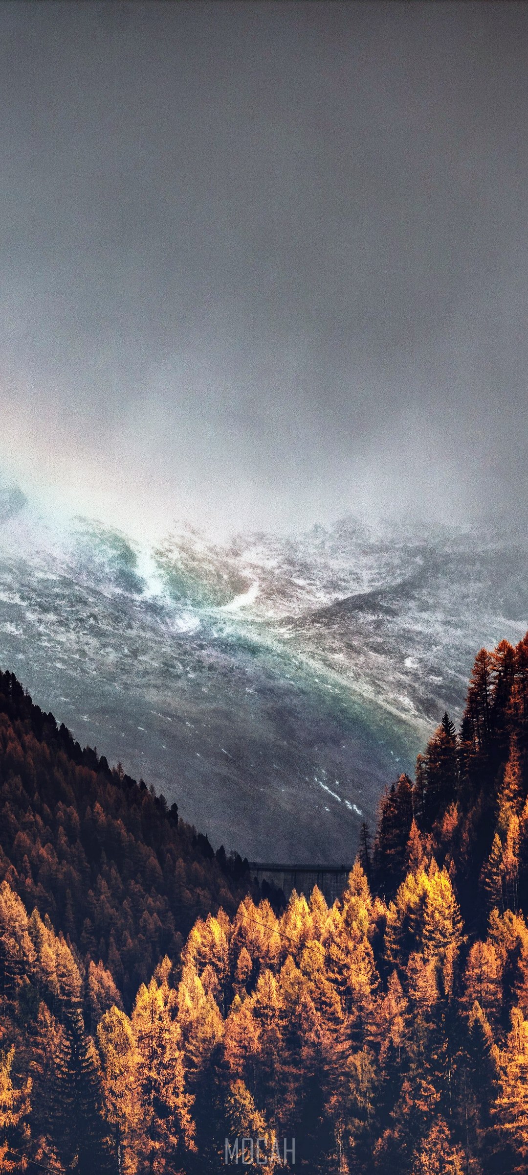Autumnal rainbow over a mountain valley with pine forest HD Phone Wallpaper