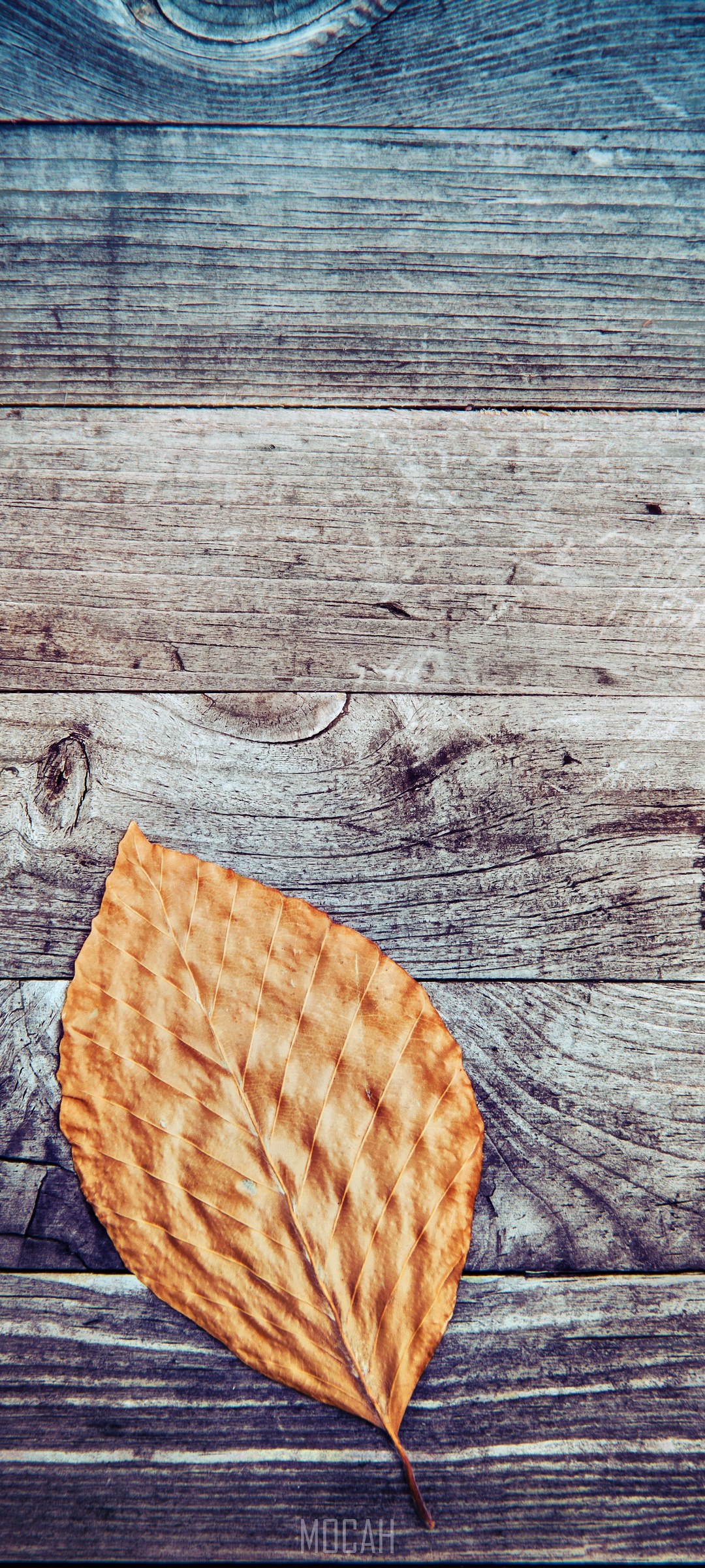 Yellow leaf on wooden background HD Phone Wallpaper