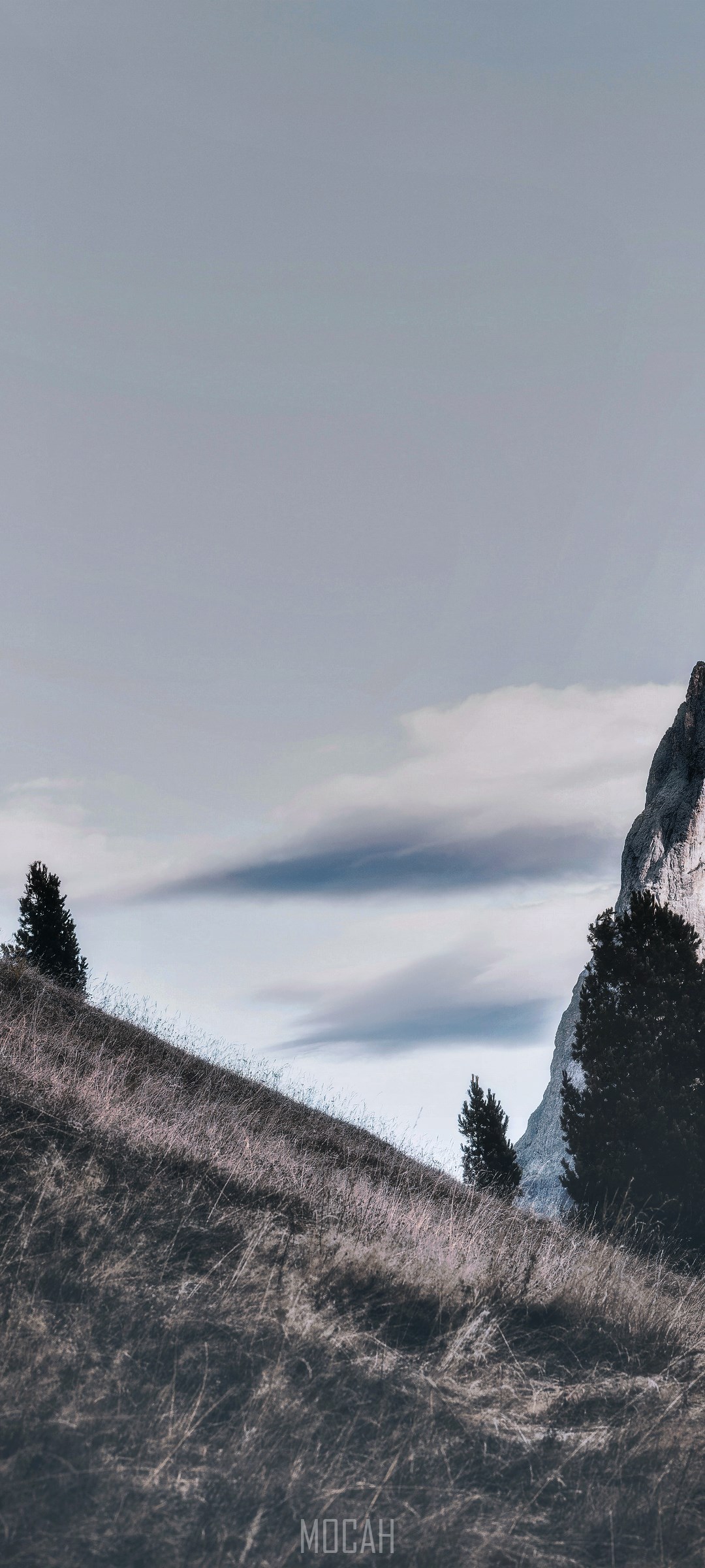 Mountainous landscape with trees and clouds HD Phone Wallpaper