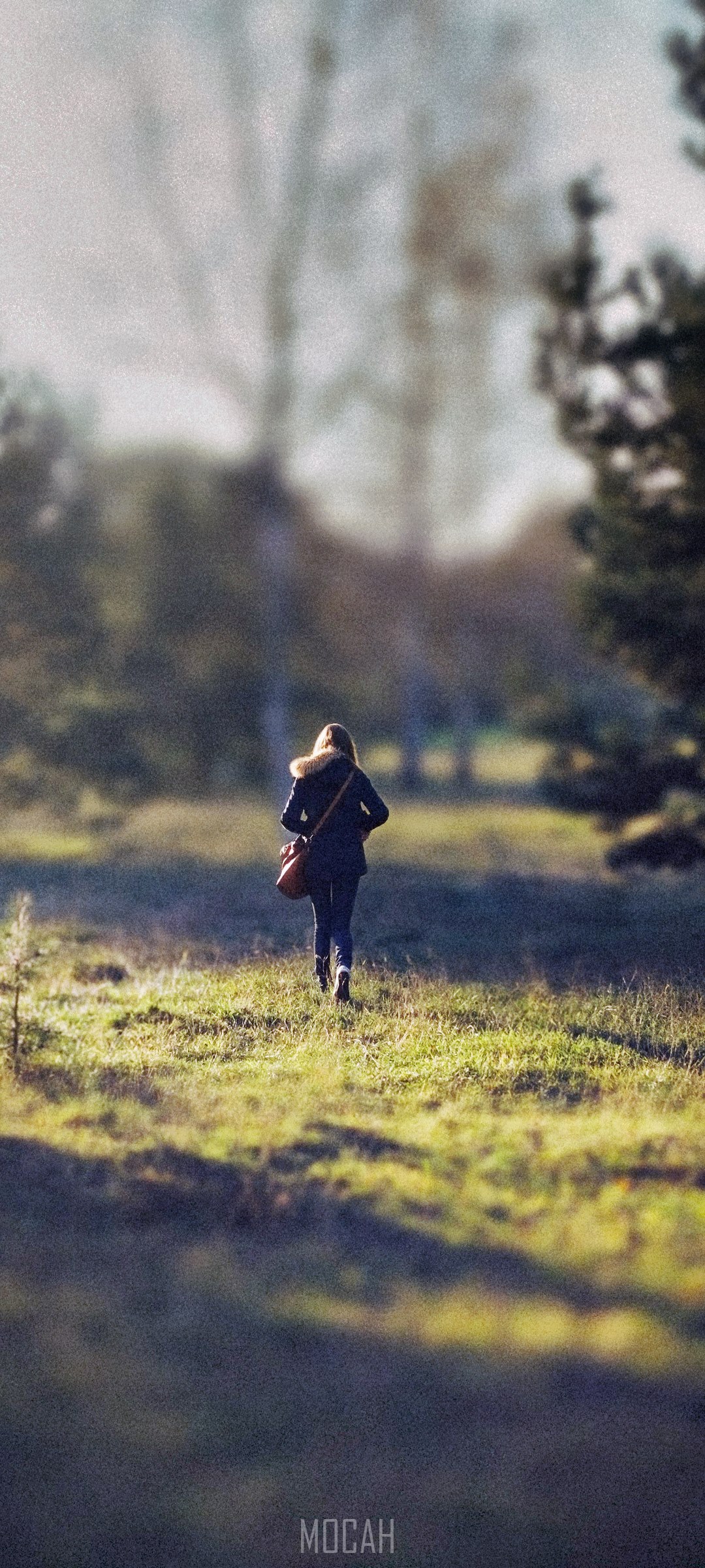 Person walking in a grassy field with trees HD Phone Wallpaper