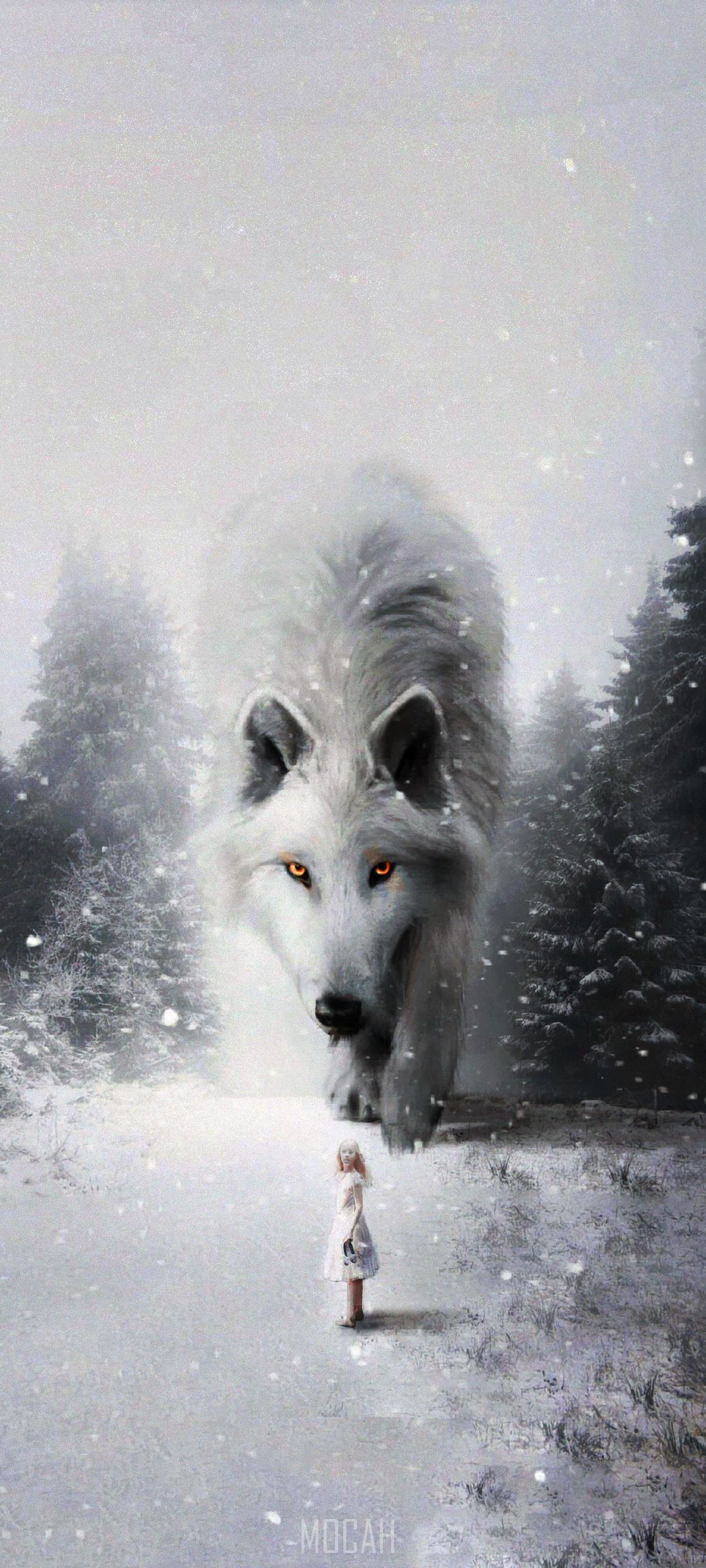 Girl facing a large white wolf in a snowy forest HD Phone Wallpaper