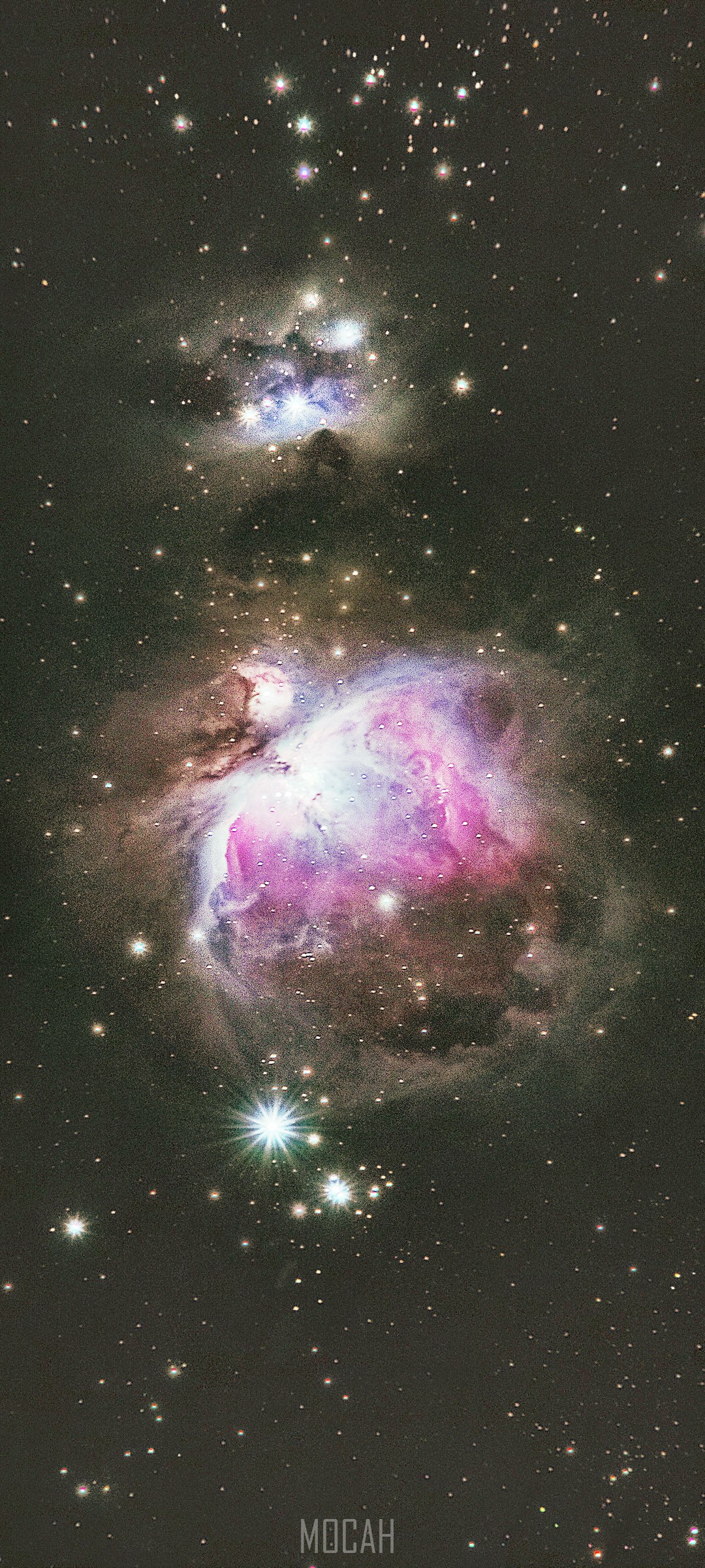 Orion Nebula and surrounding stars HD Phone Wallpaper