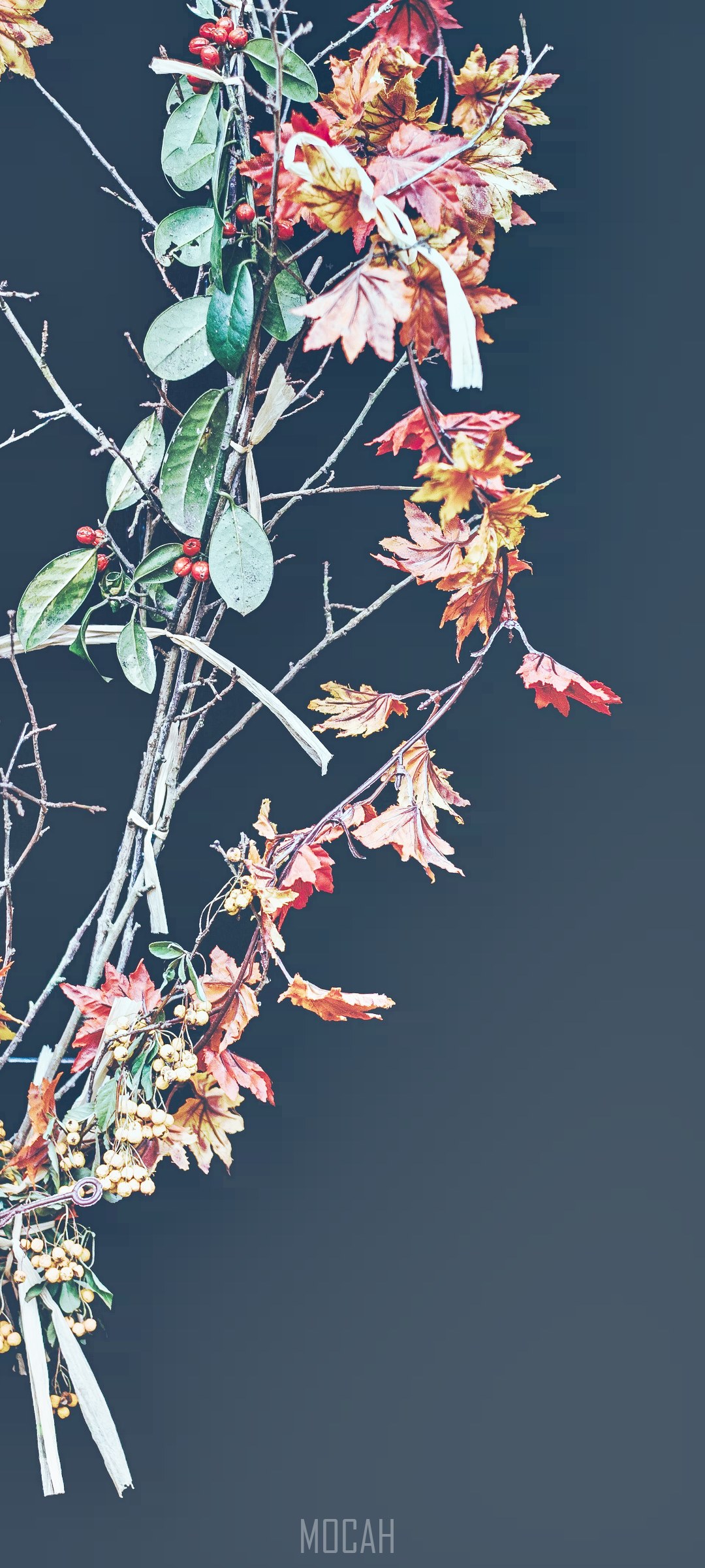 Autumnal Garland with Berries and Leaves HD Phone Wallpaper