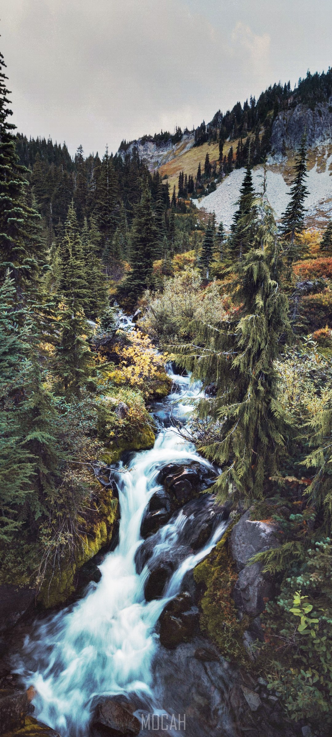 Waterfall flowing through a forest with mountains HD Phone Wallpaper