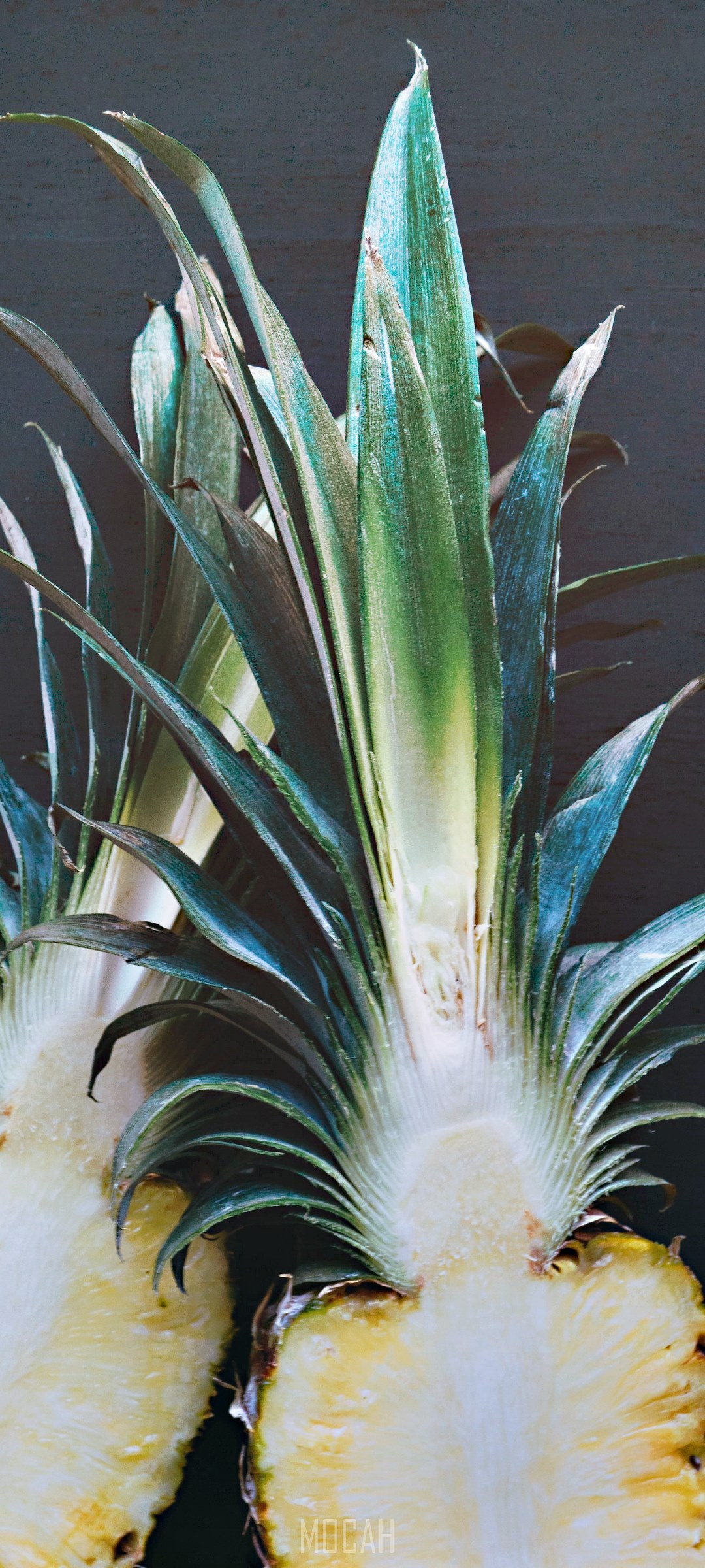 Pineapple halves with green leaves HD Phone Wallpaper
