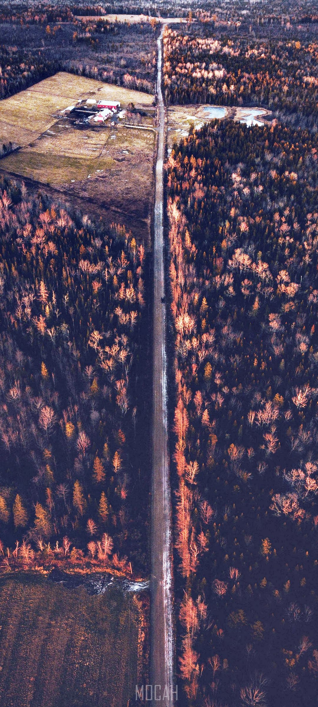 Aerial view of a road through a forest during sunset HD Phone Wallpaper