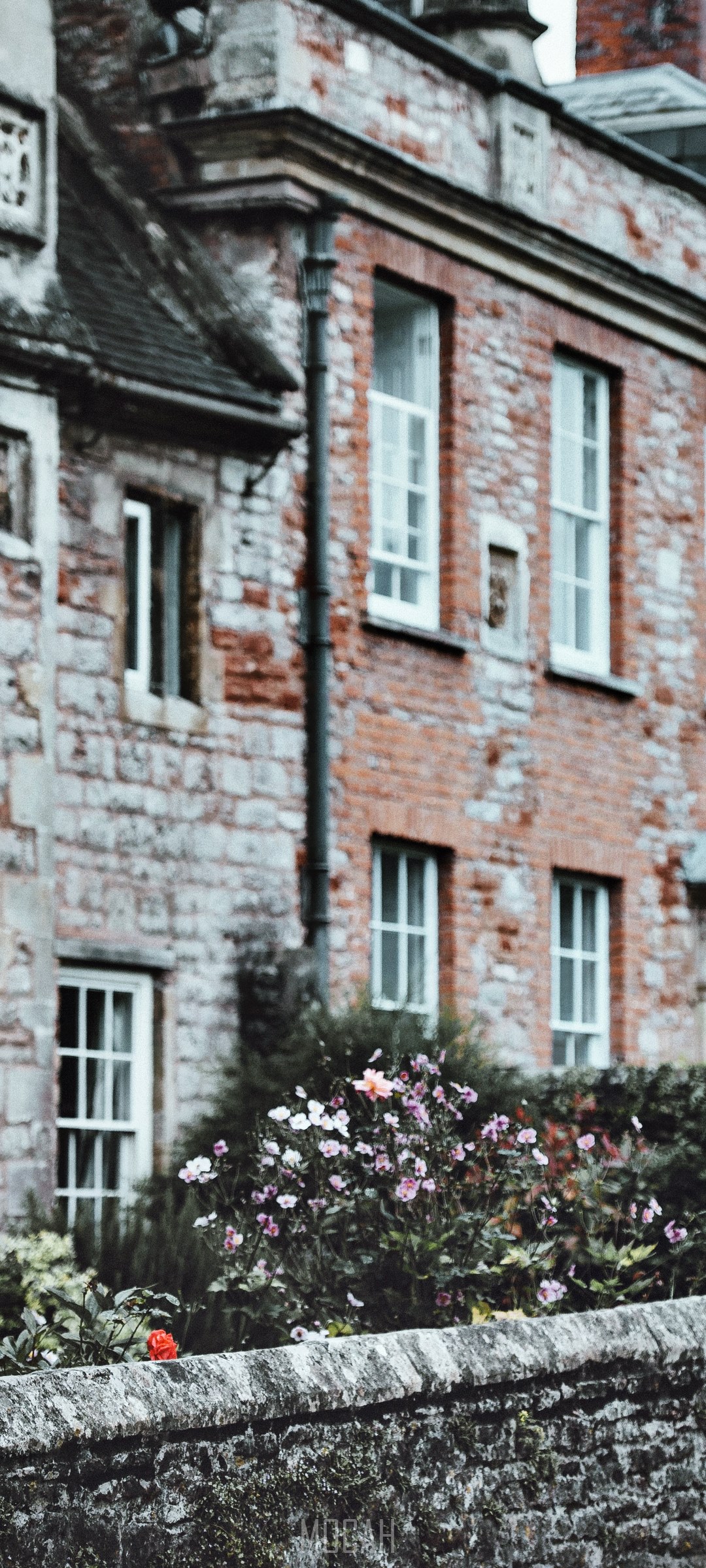 Vicars Close Wells building with flowers HD Phone Wallpaper