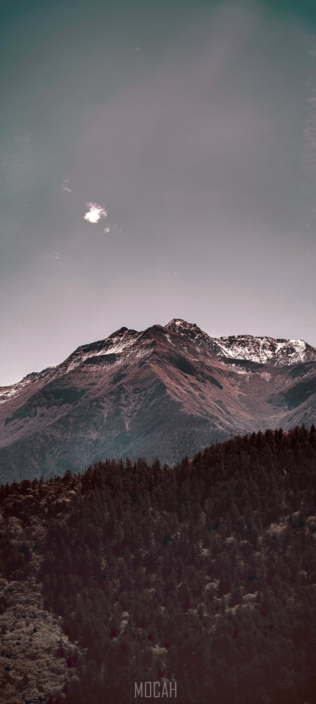 Mountain peak with forest and sky HD Phone Wallpaper