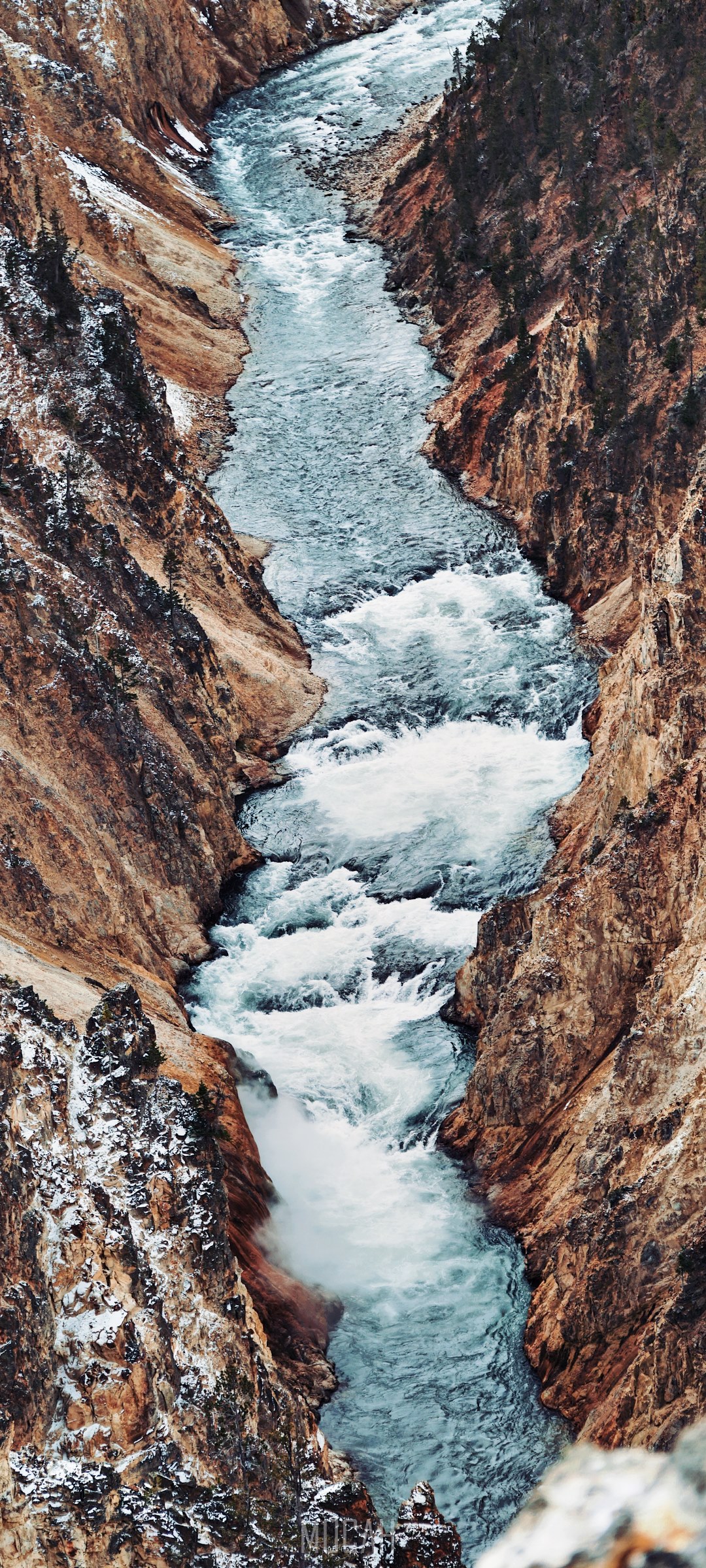 Wild River Flowing Through a Canyon HD Phone Wallpaper