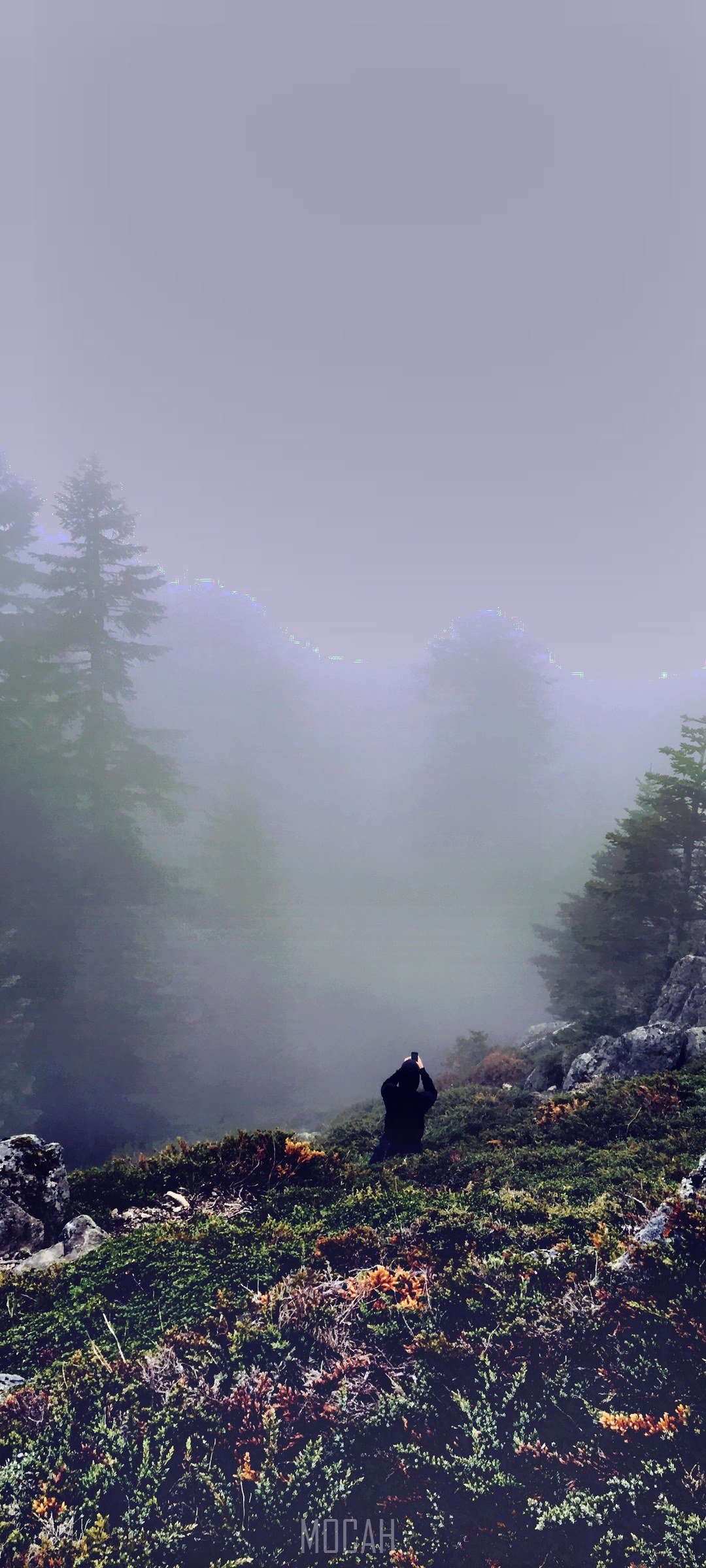 Person in black standing on a foggy mountain HD Phone Wallpaper