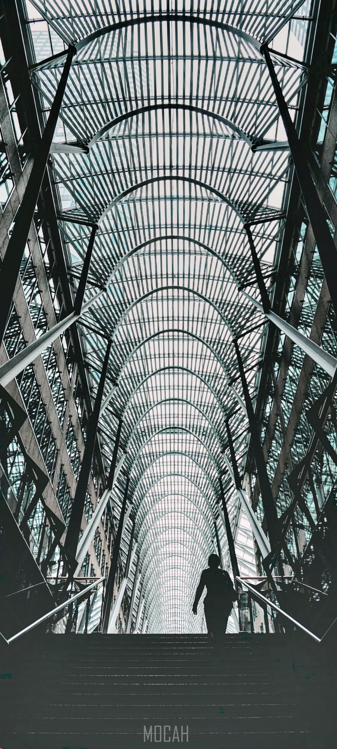 Silhouette on stairs in Toronto atrium HD Phone Wallpaper