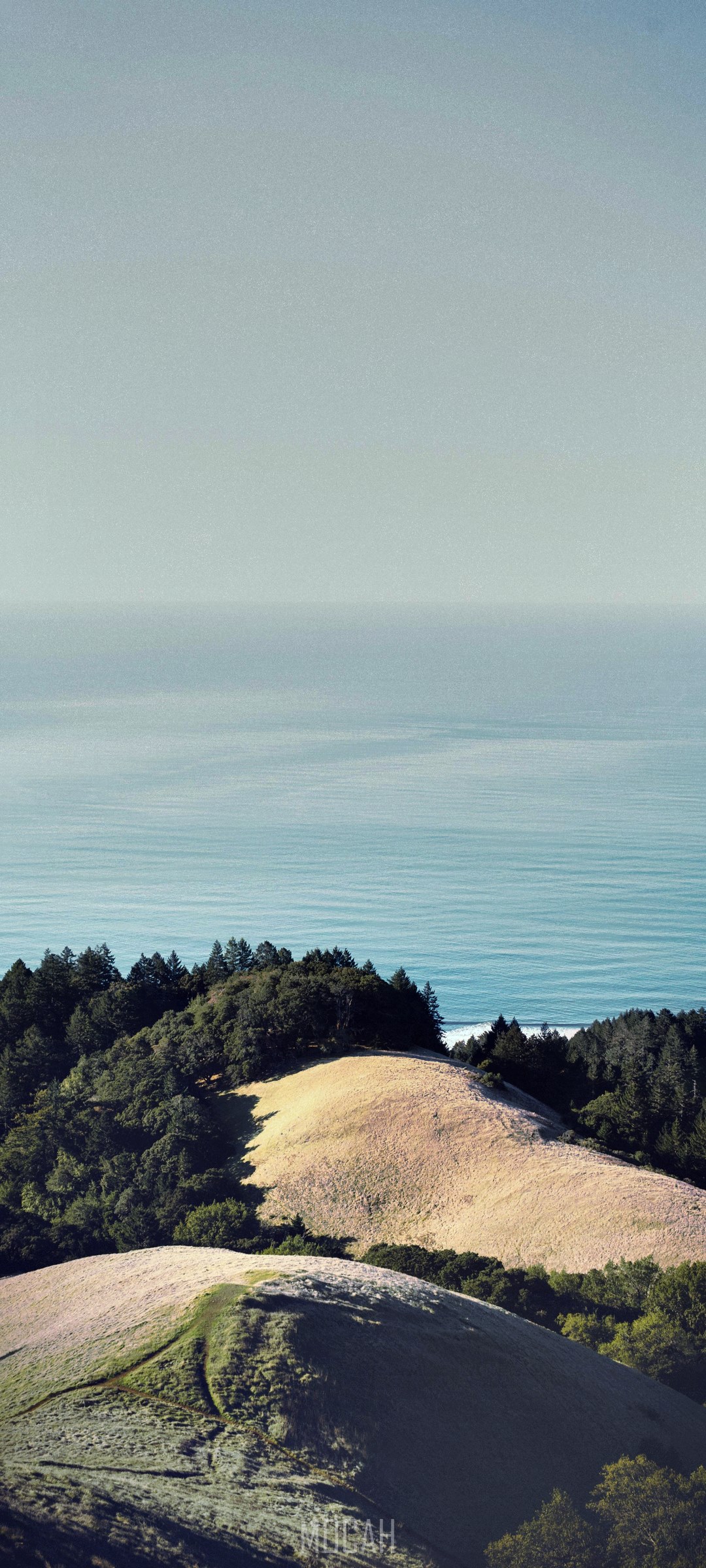Wooded hills by the sea HD Phone Wallpaper
