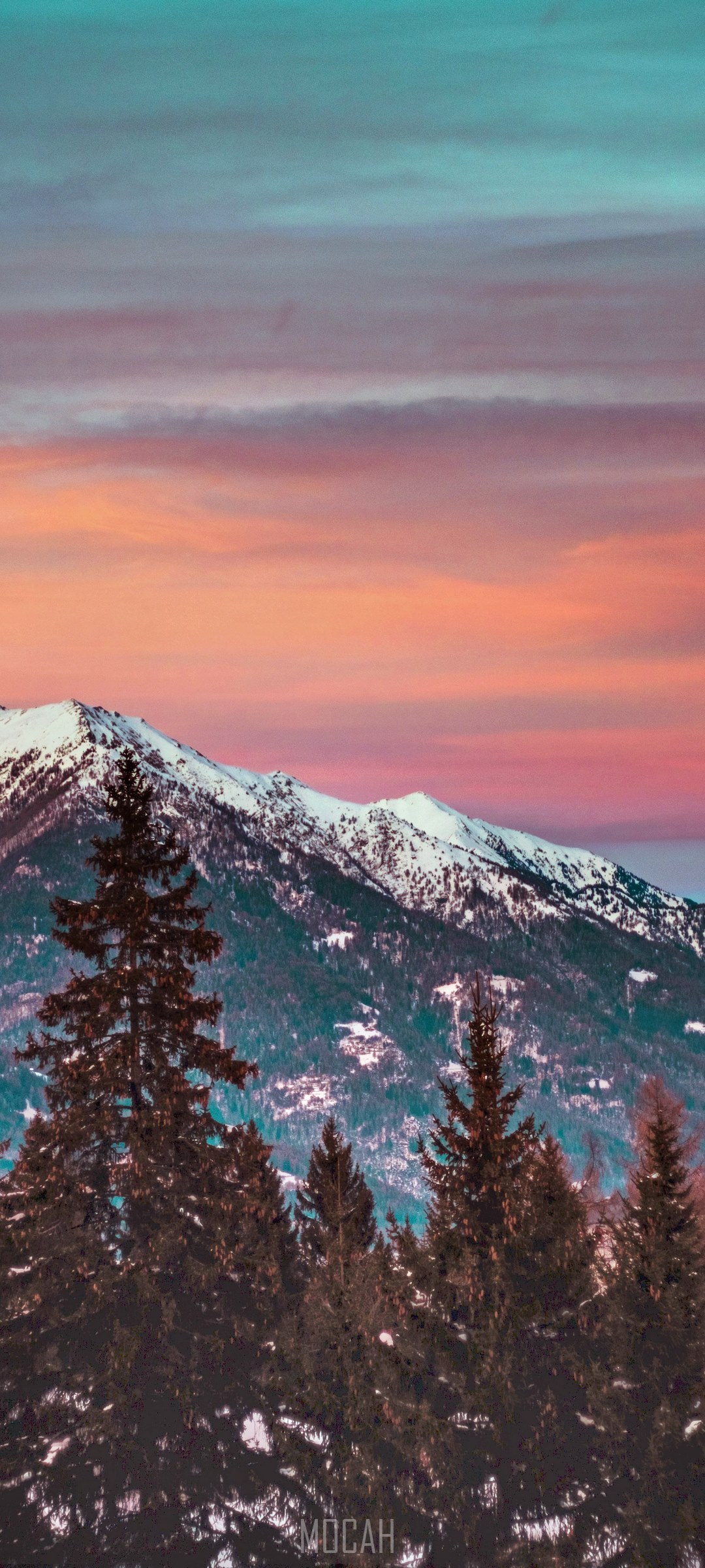 Snowy mountains with pine trees at sunset HD Phone Wallpaper